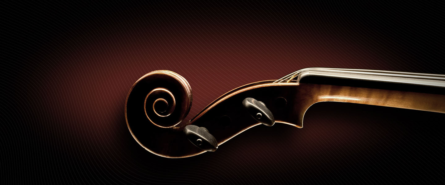 EmbNav_SoloStringsBundle_c_720x300.jpg