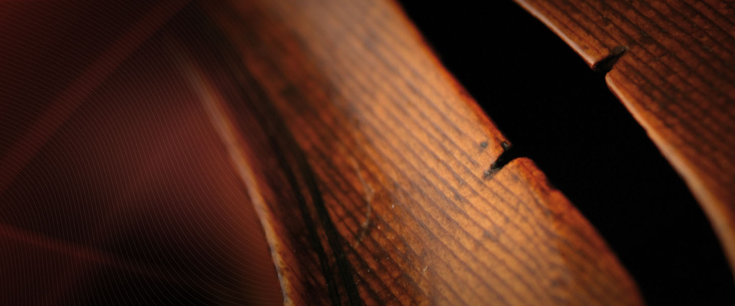 EmbNav_StringsComplete_b_720x300.jpg