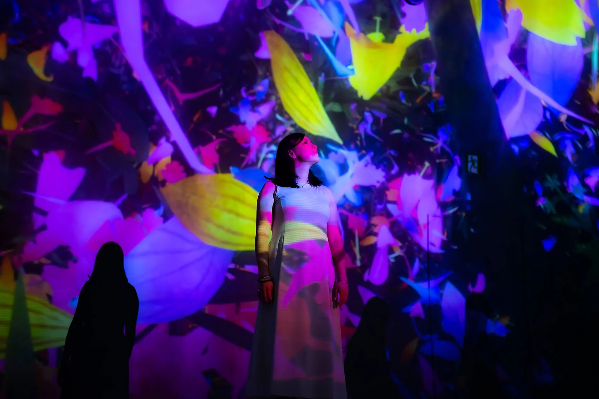 Beyond the Collection: A New Mandate for Museums, Attractions, and Destinations
