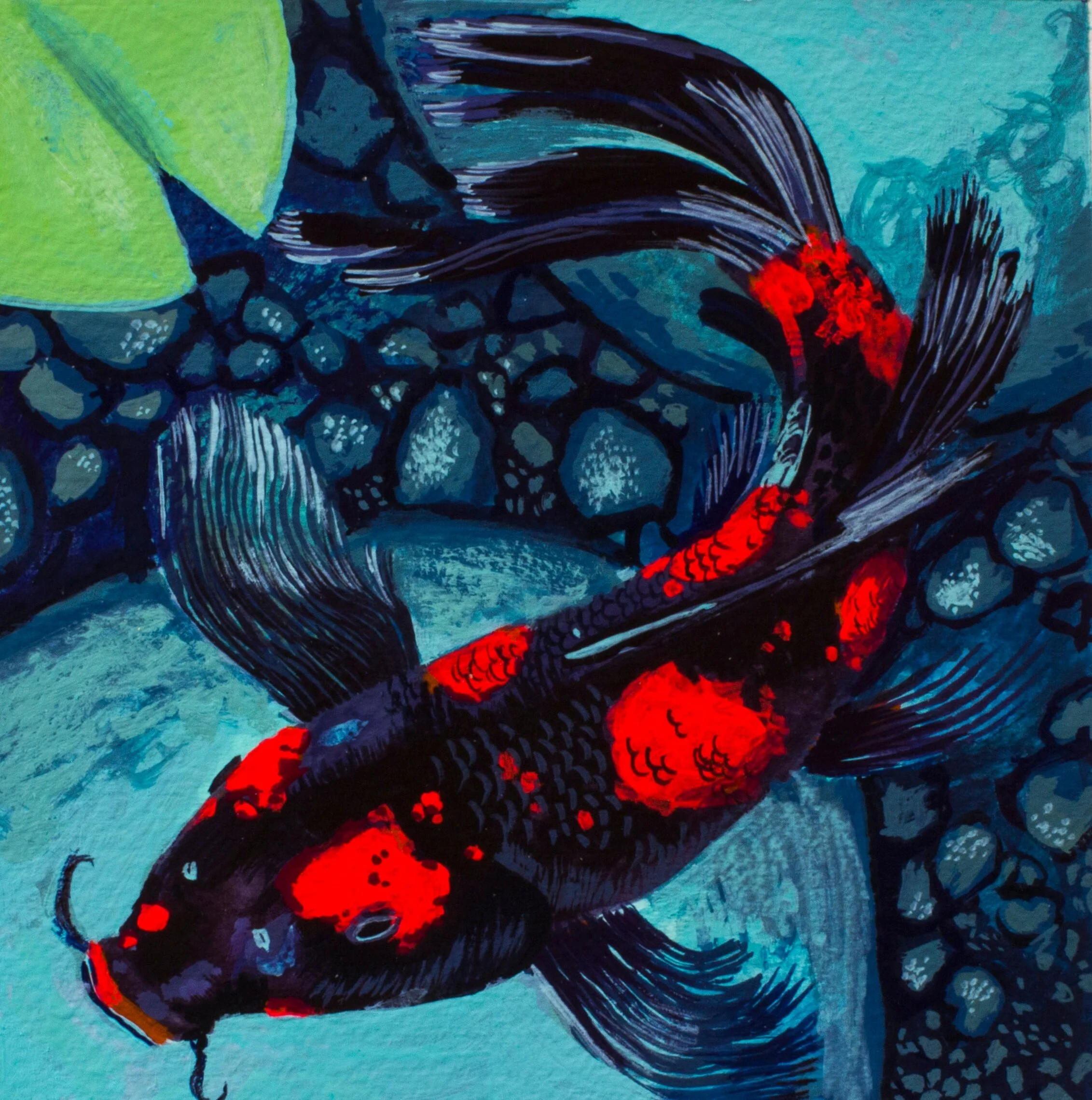 Koi #2