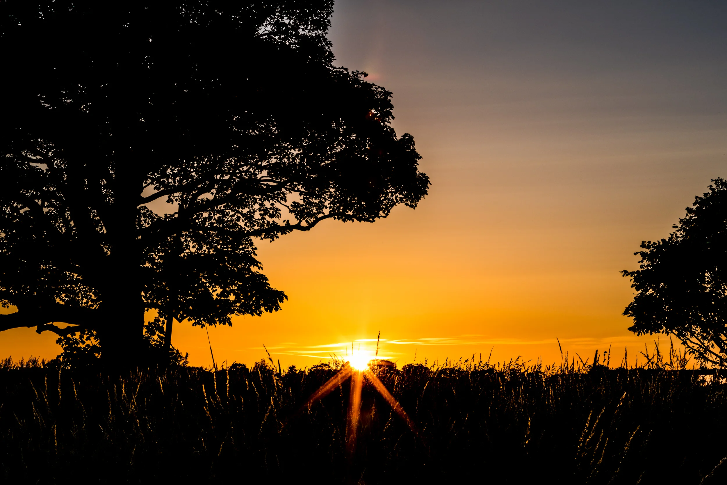 Silhouette Sunset - Morwick, Northumberland