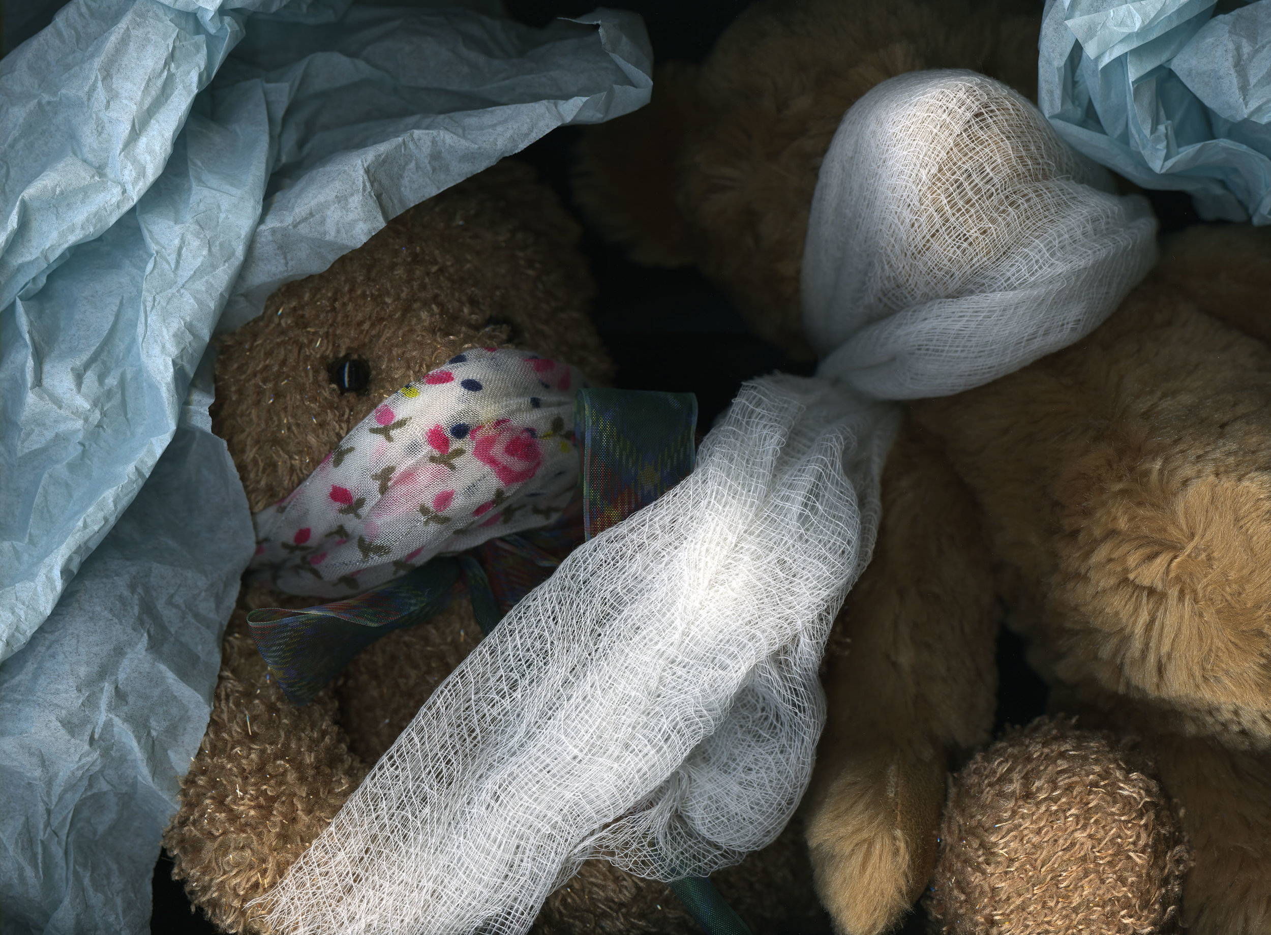 bearsinabox.jpg