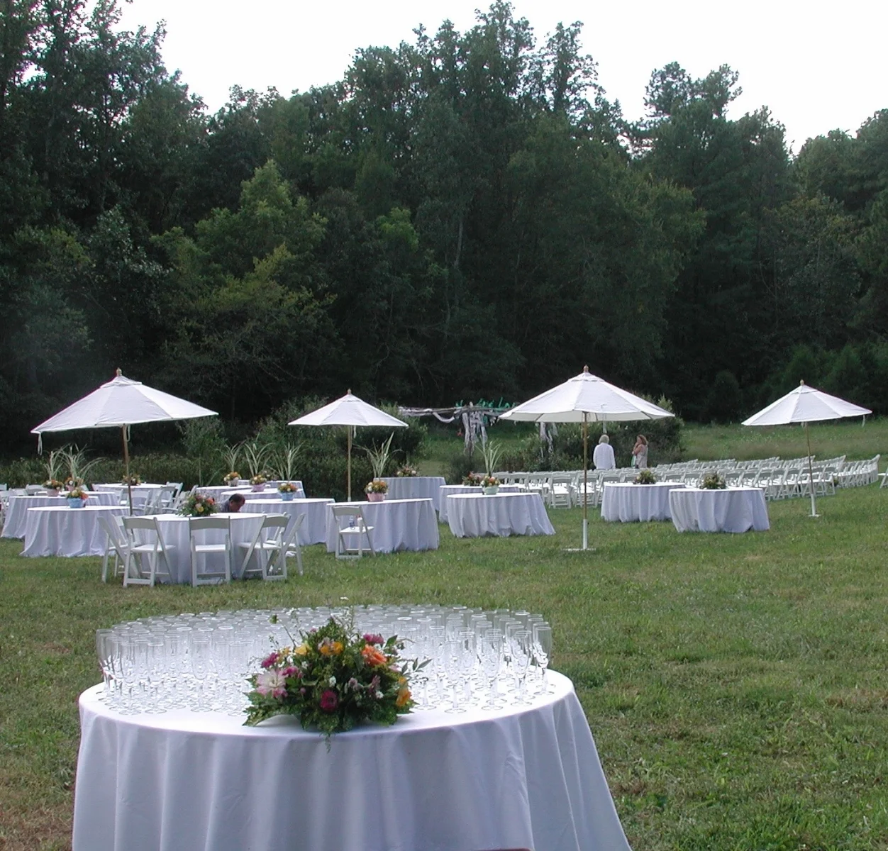 Wedding Reception in the Lilymont field