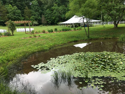 May wedding lily pond tent reflection.jpg