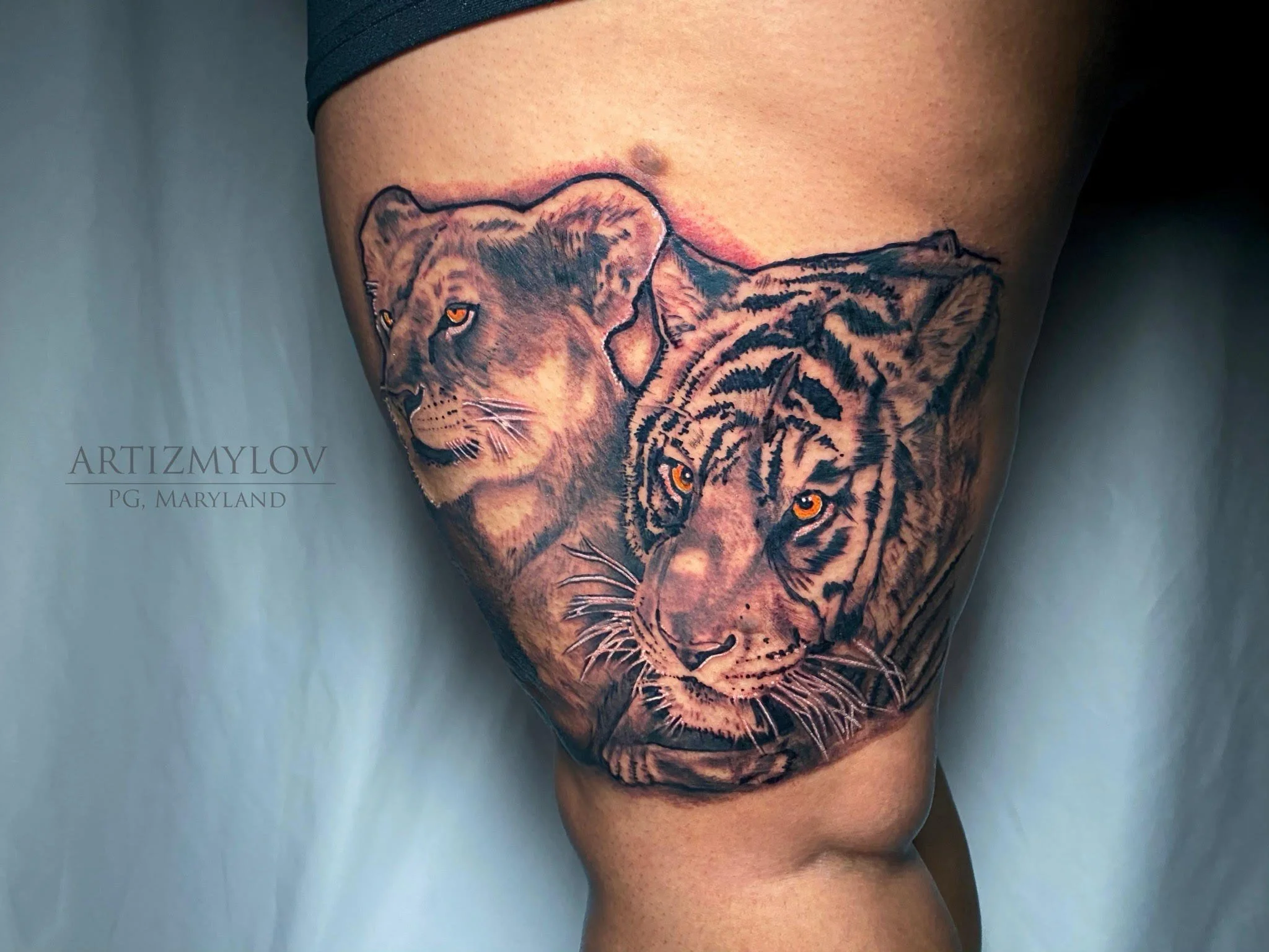 Artizmylov