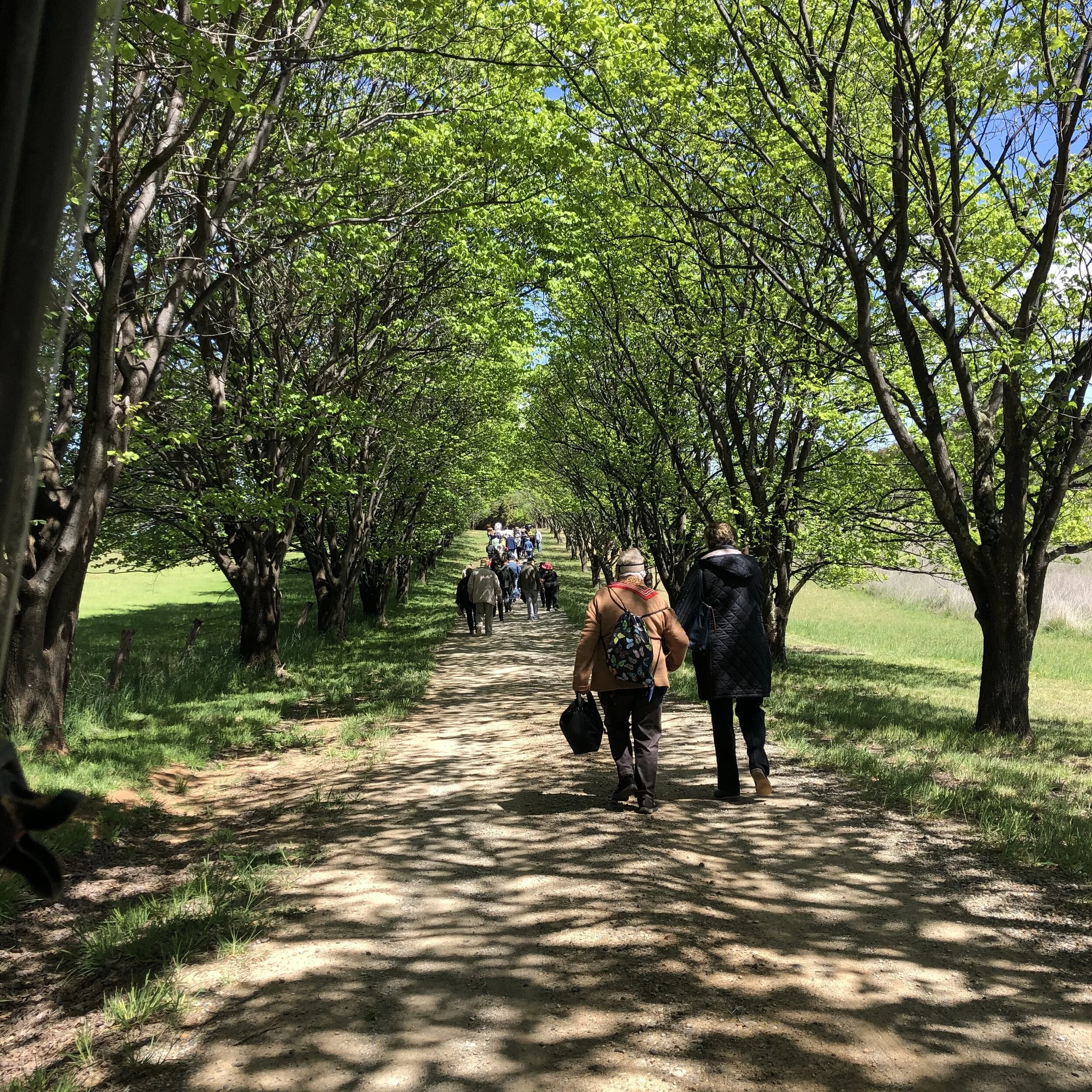 Boree Lane Ramble 2025