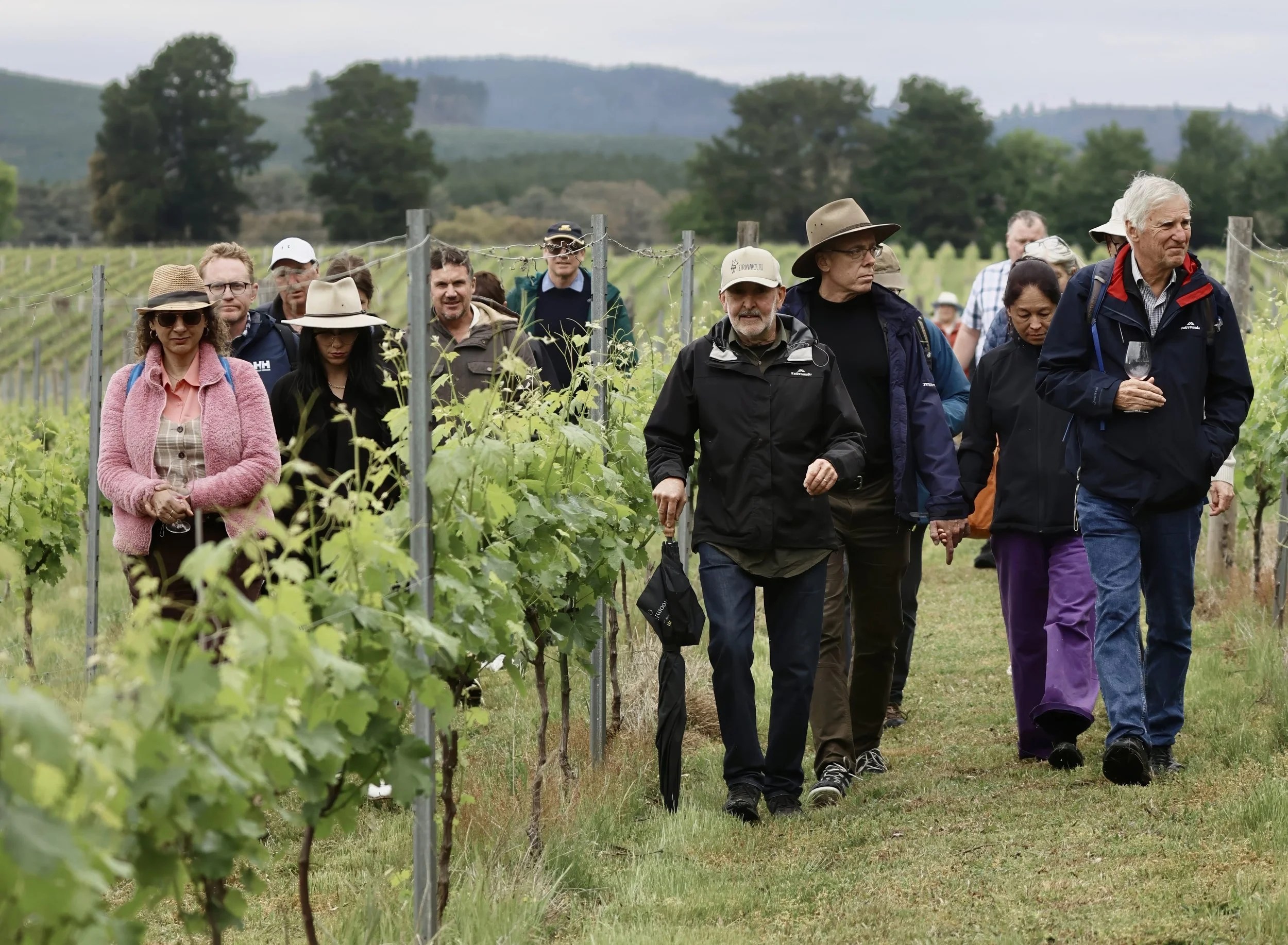 Boree Lane Ramble 2026