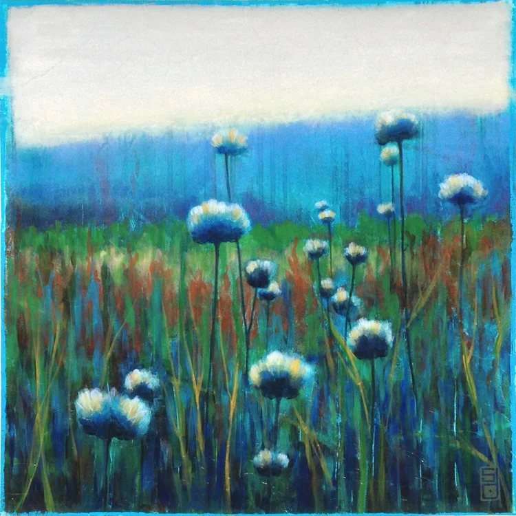 Grasslands
