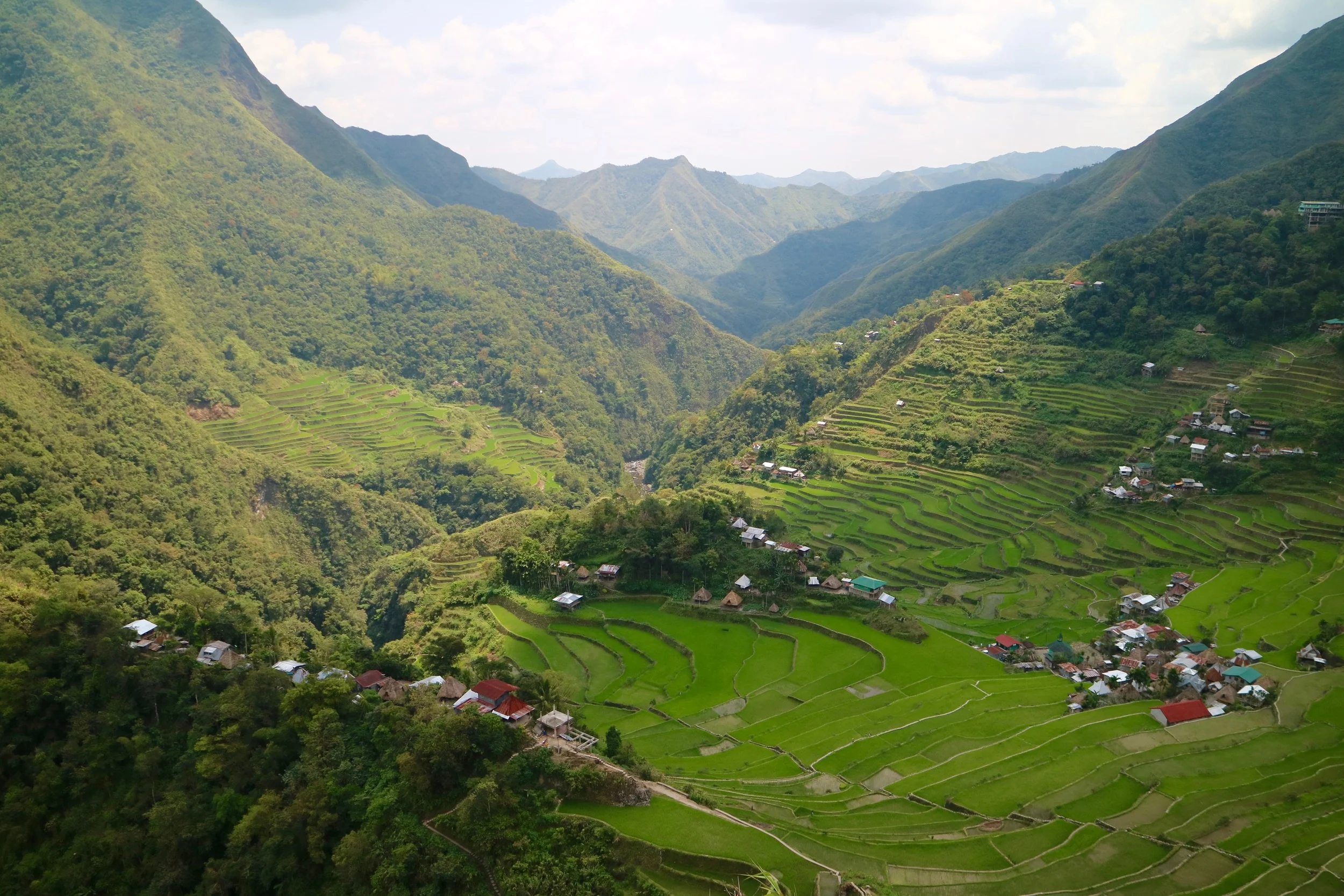 The Rice Terraces Of Batad