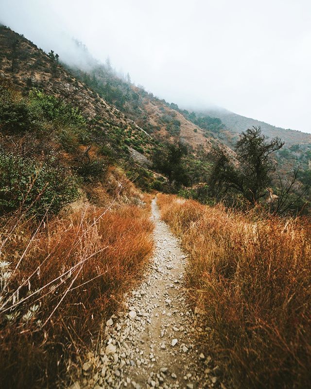 Kicked off the beginning of fall with a gloomy 6 hour hike at Santa Paula canyon. It was a treacherous trail to the punch bowl, but the views were worth it without a doubt.