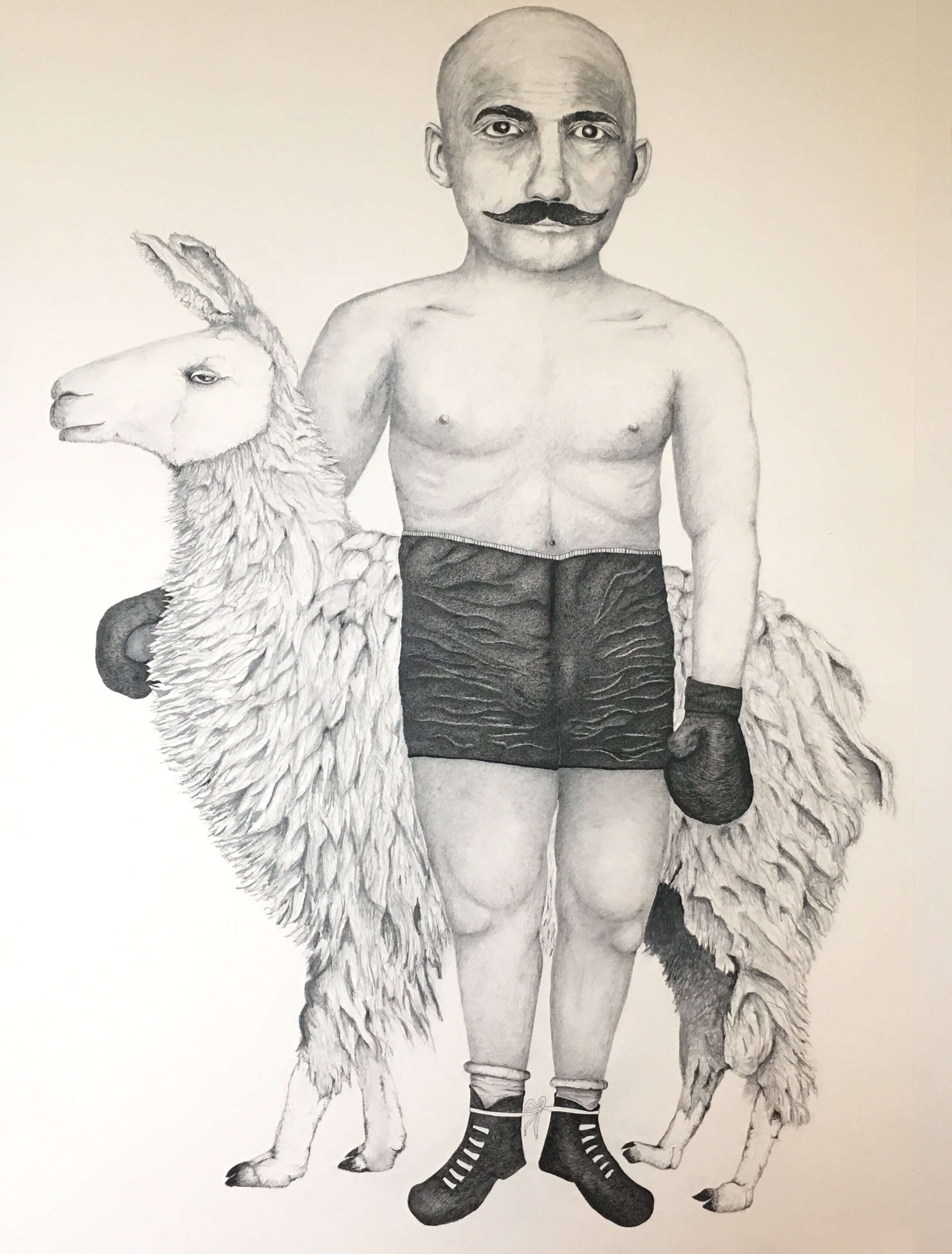 Boxer with Llama, 2020 