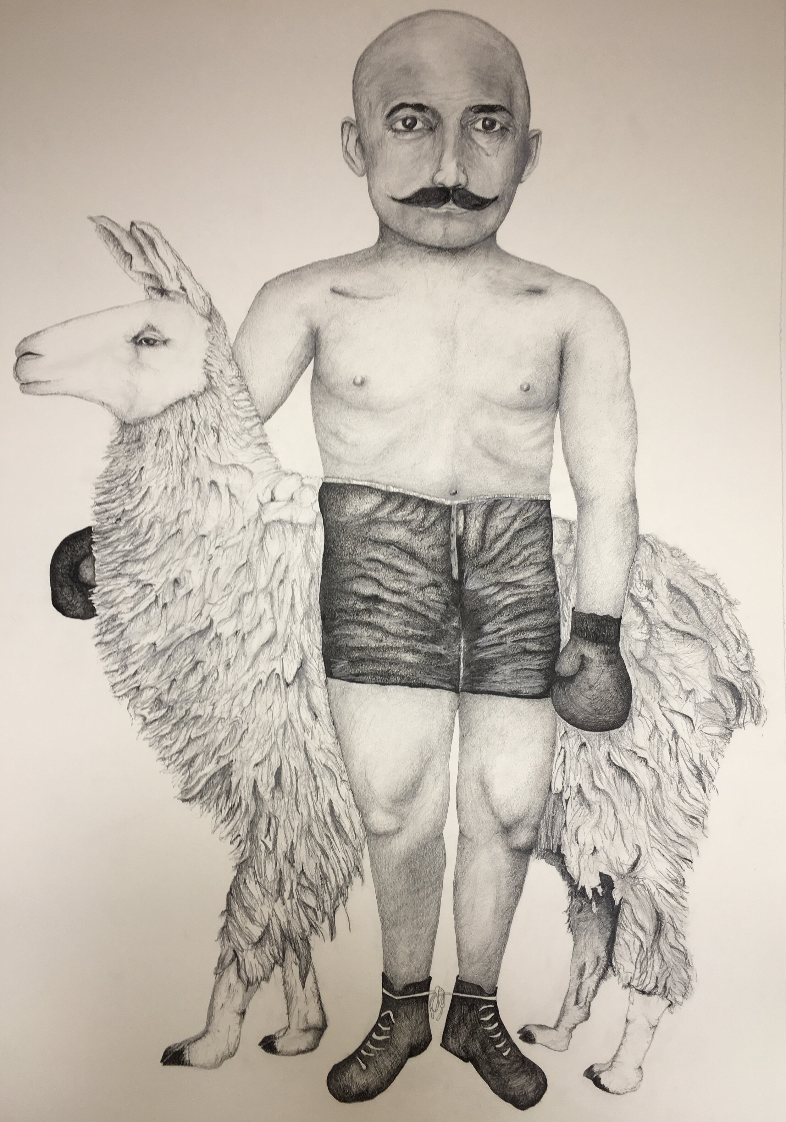 Boxer with Llama, 2020