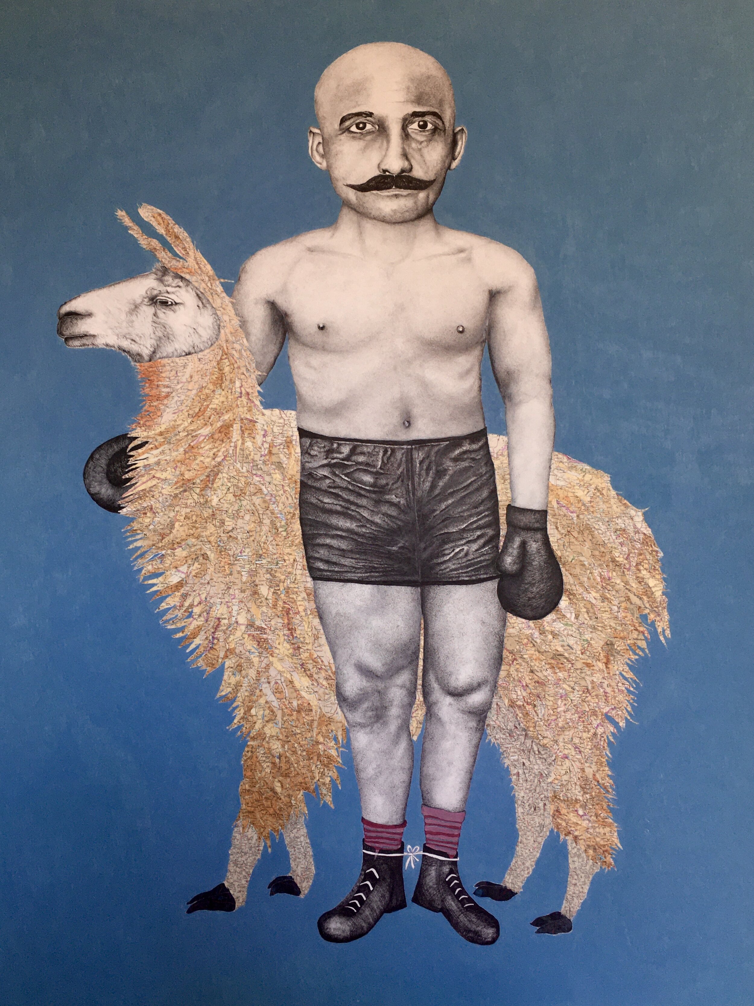 Boxer with Llama, variation no. 5, 2021