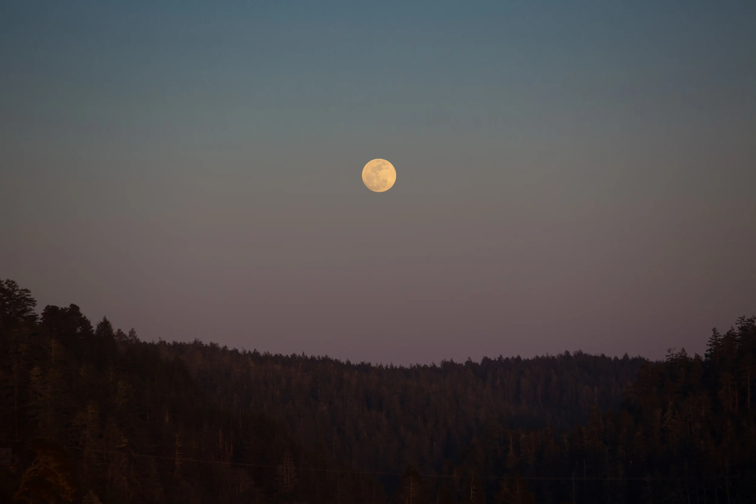 mendocino_emilyslade-14.jpg