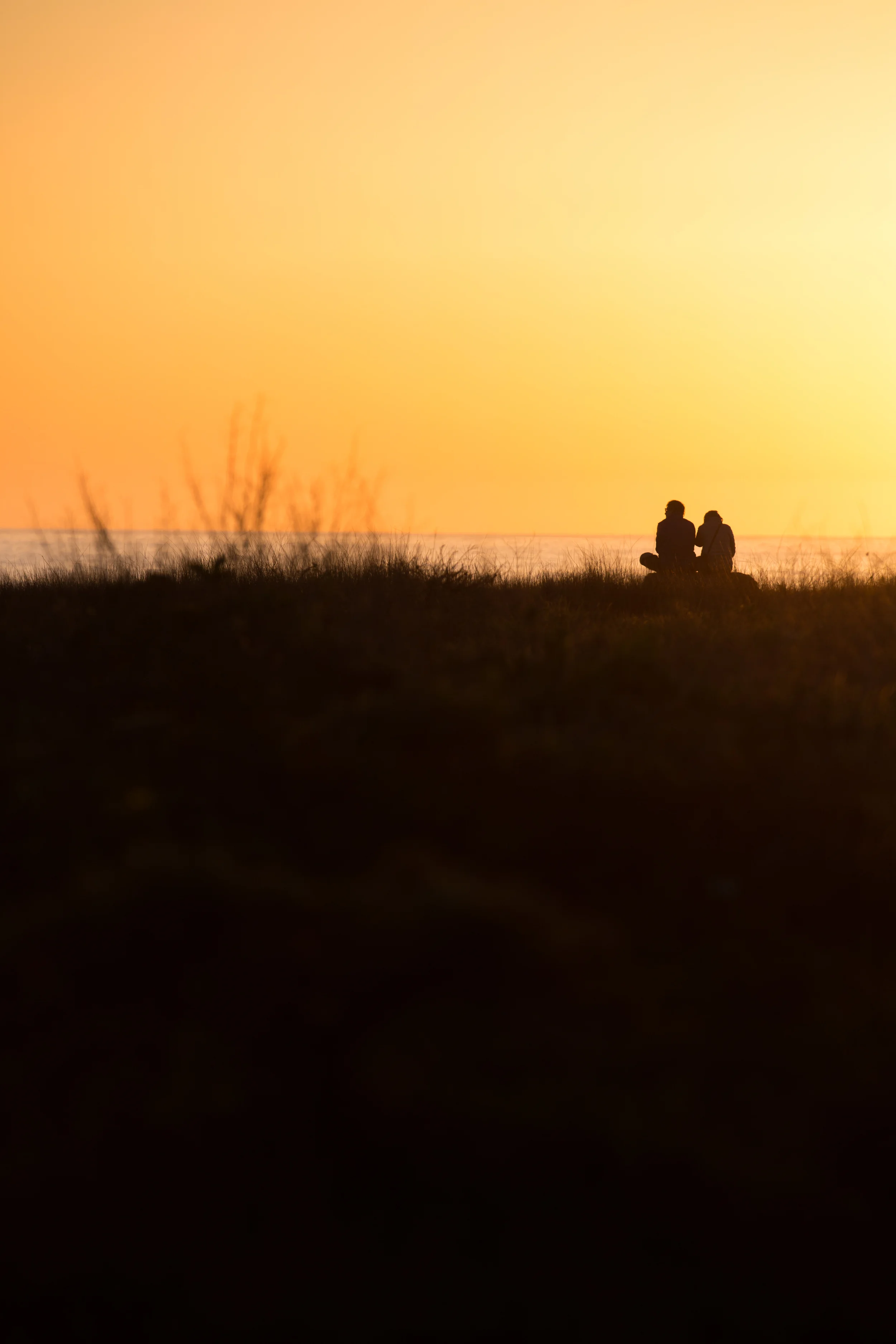 mendocino_emilyslade-13.jpg