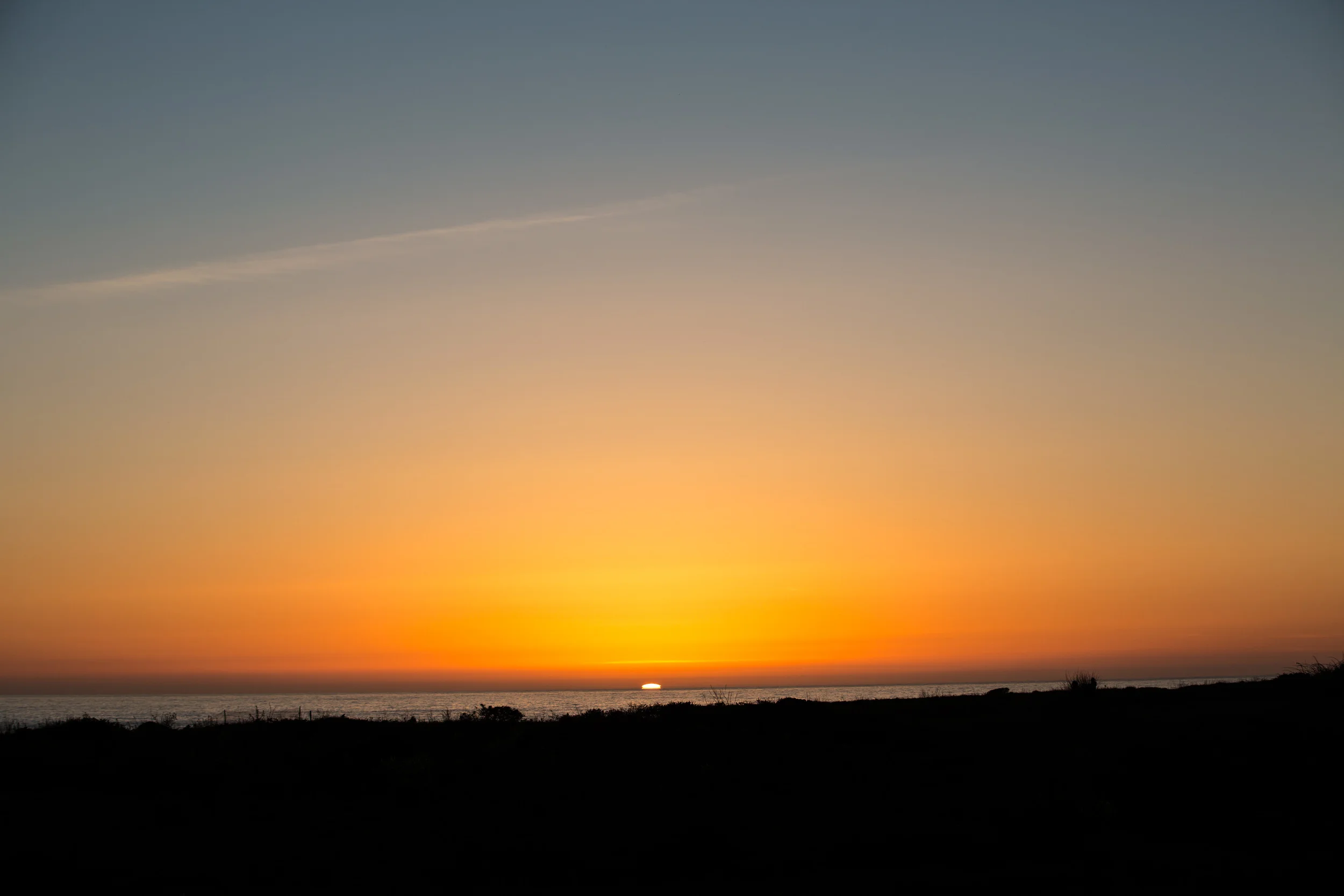 mendocino_emilyslade-16.jpg