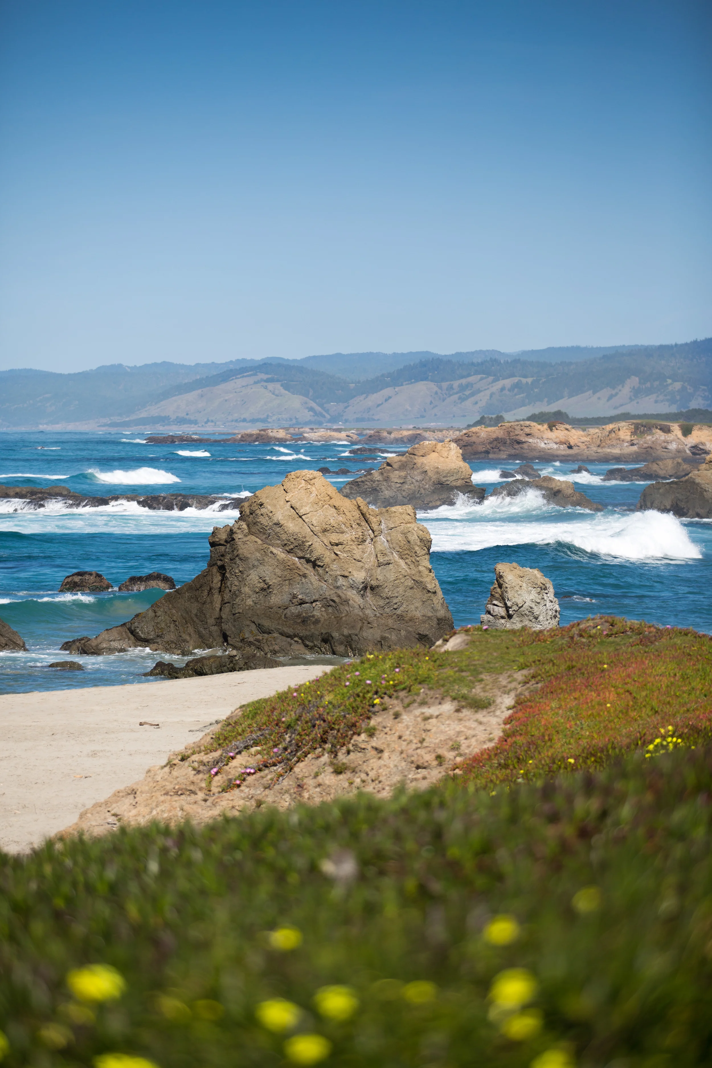 mendocino_emilyslade-21.jpg