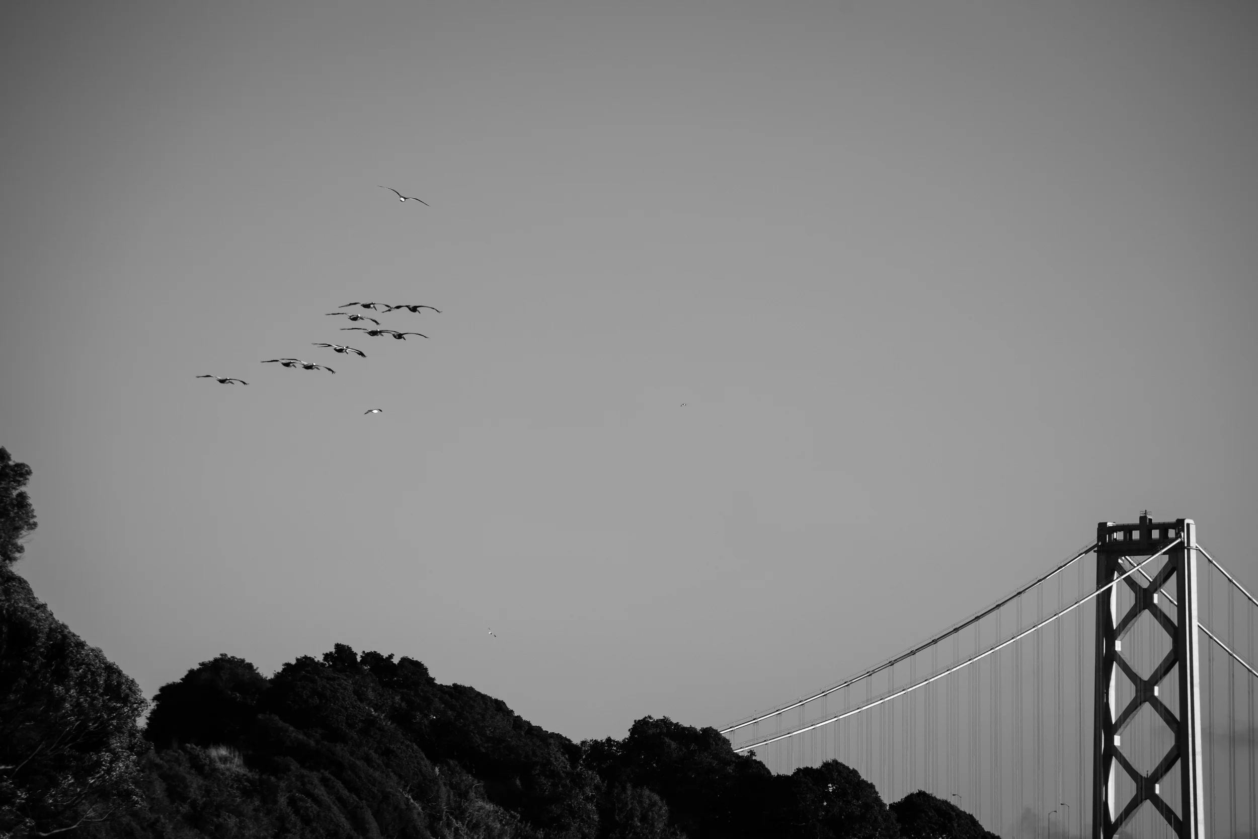 sf1-emilysladephoto-4.jpg