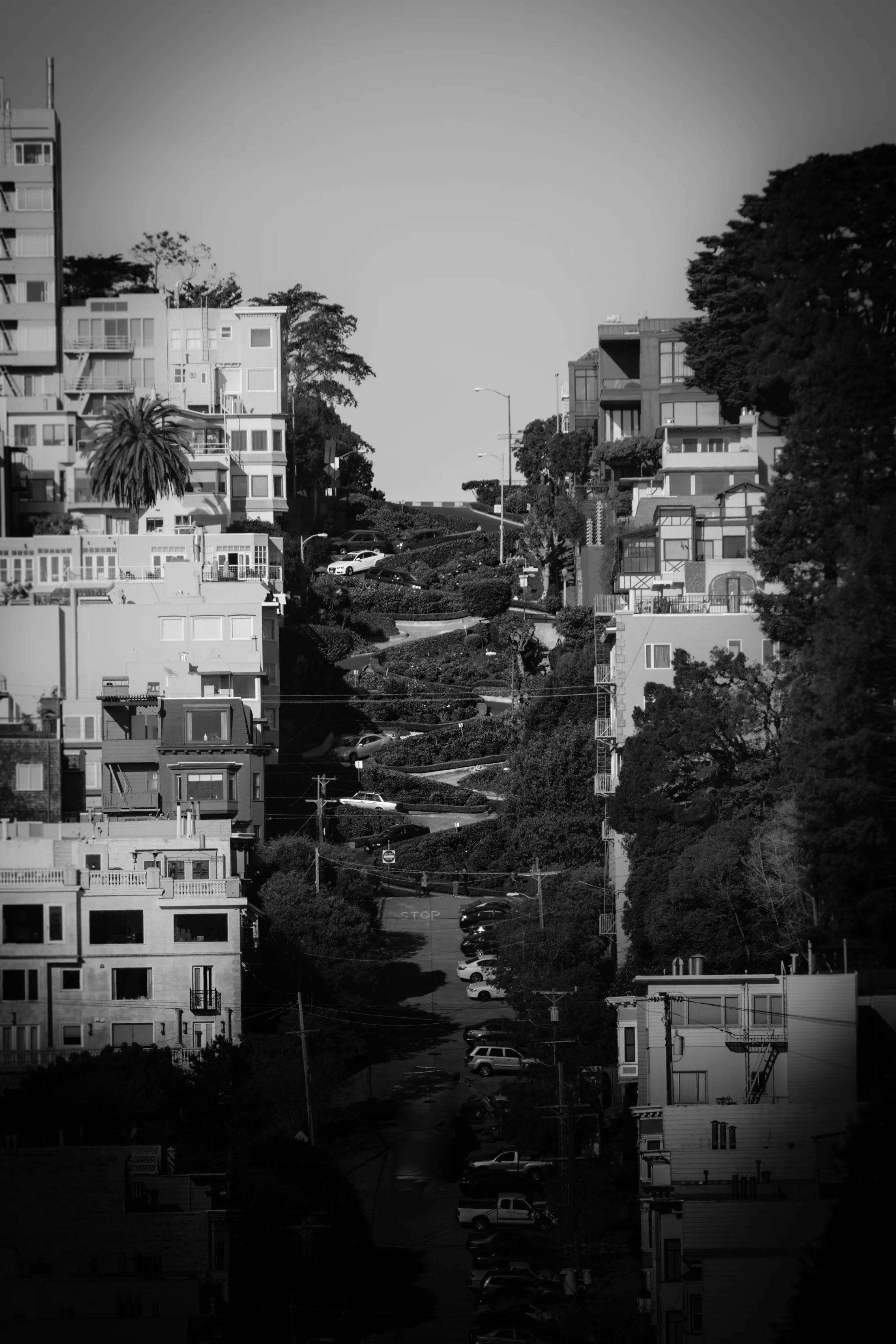 sf1-emilysladephoto-5.jpg