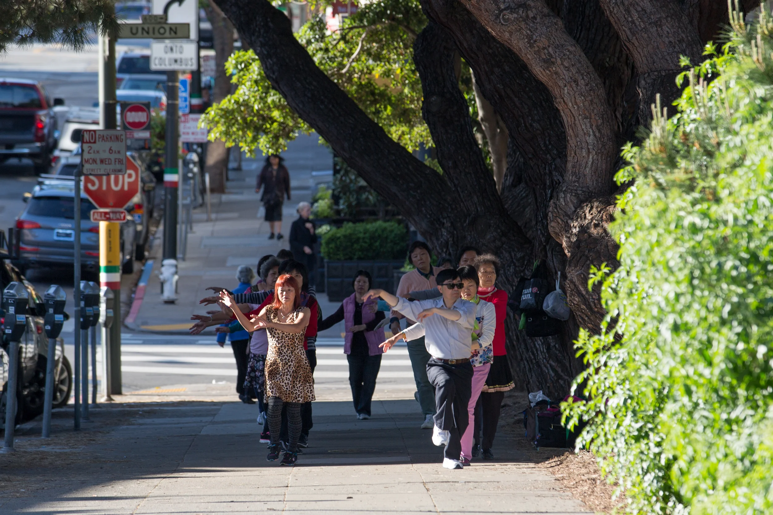 sf2-emilysladephoto-4.jpg