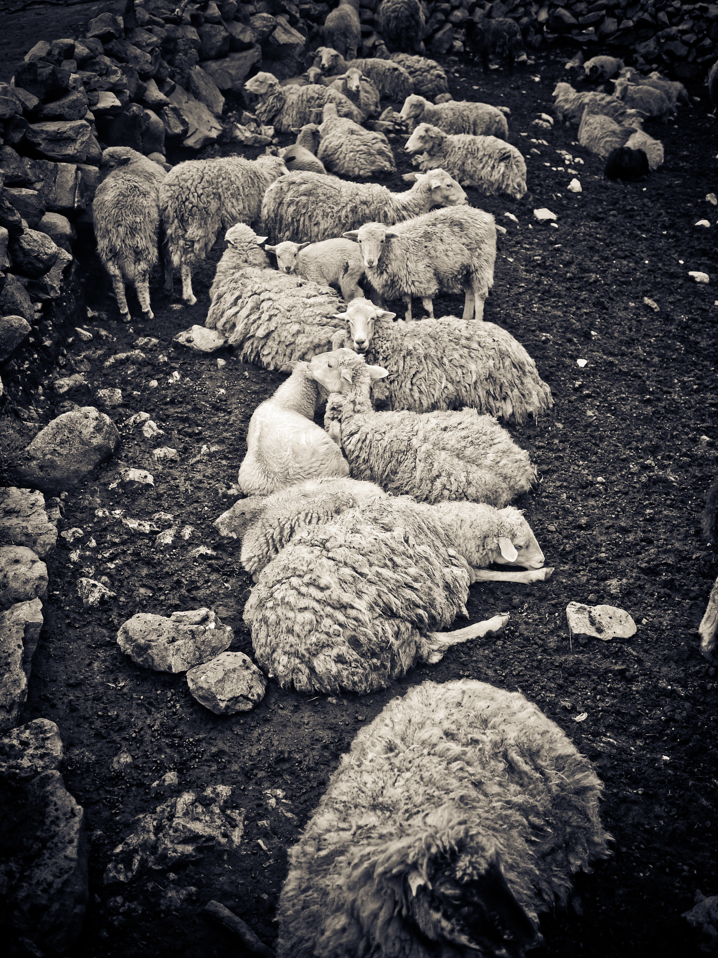 peru2-emilysladephoto-3.jpg