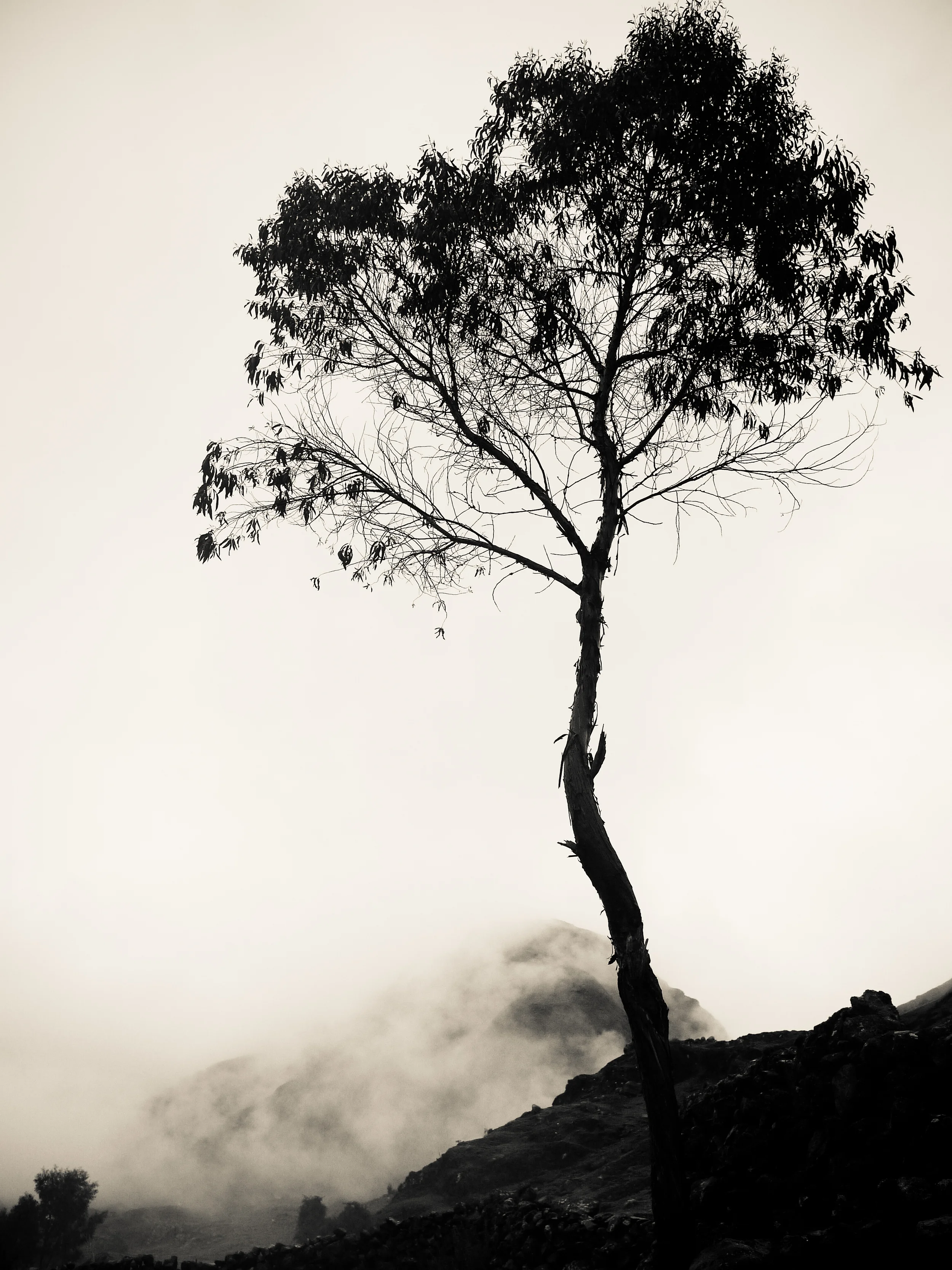 peru5-emilysladephoto-7.jpg