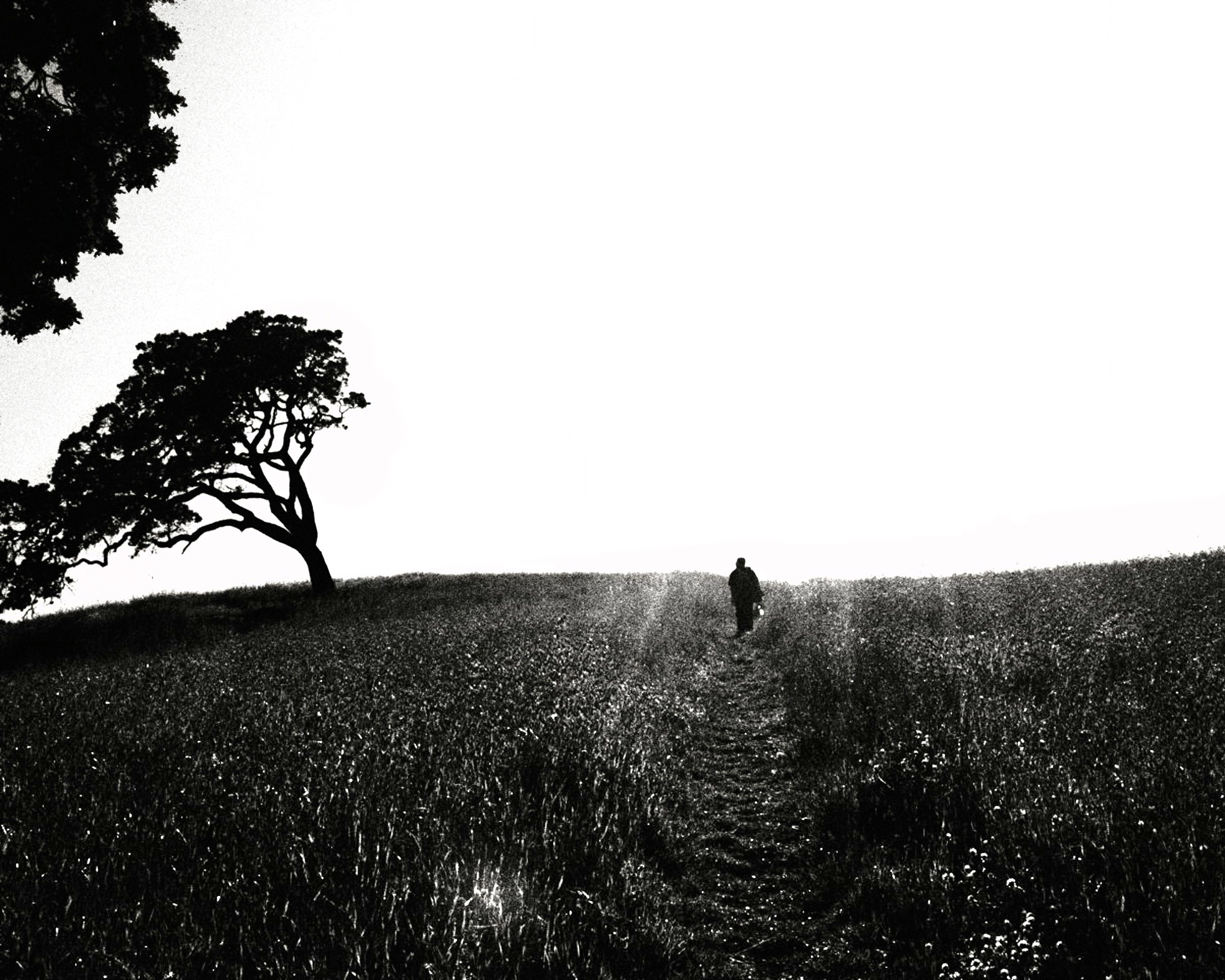 landscape-emilysladephoto-5.jpg
