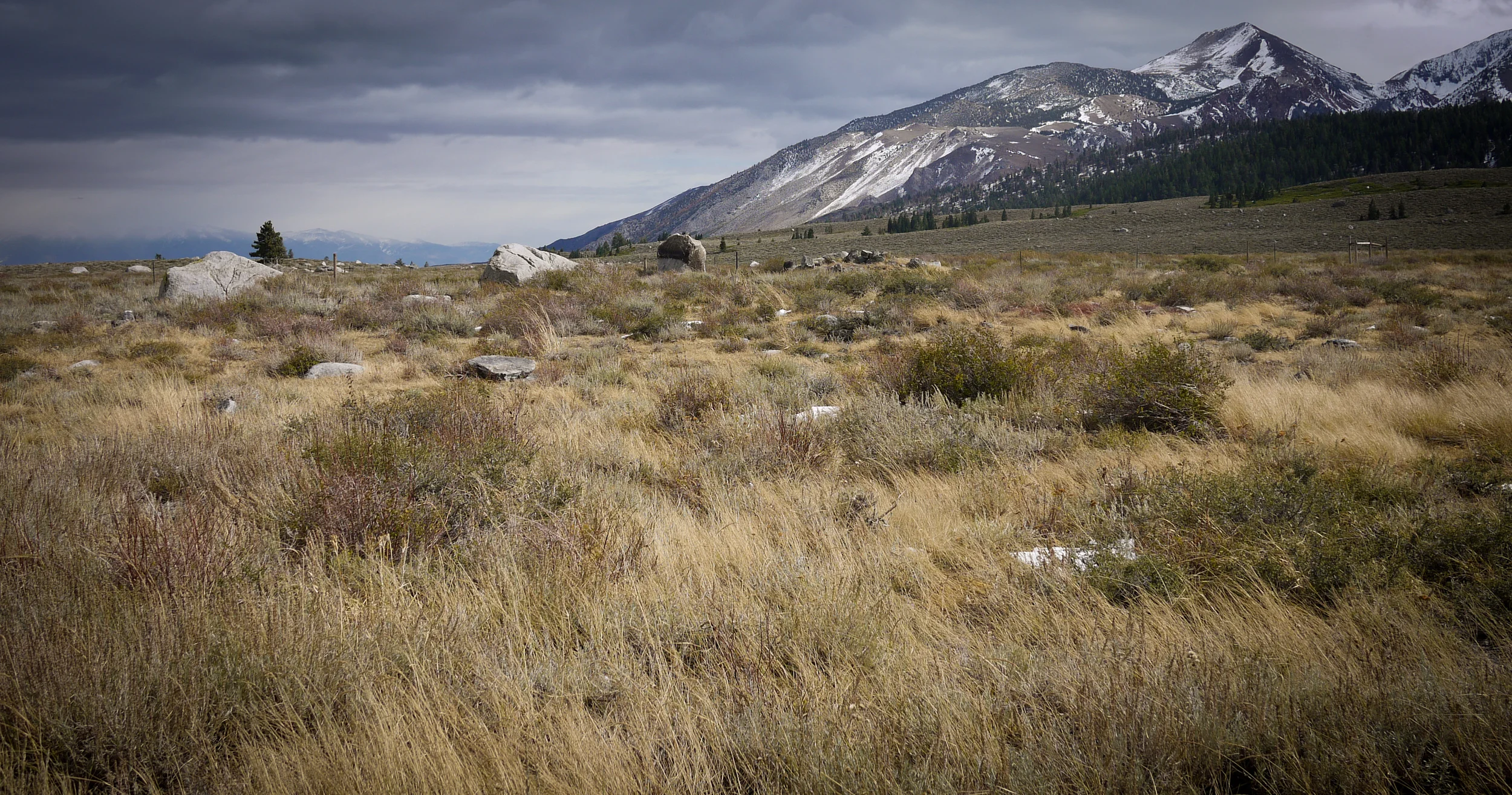 landscape-emilysladephoto-7.jpg