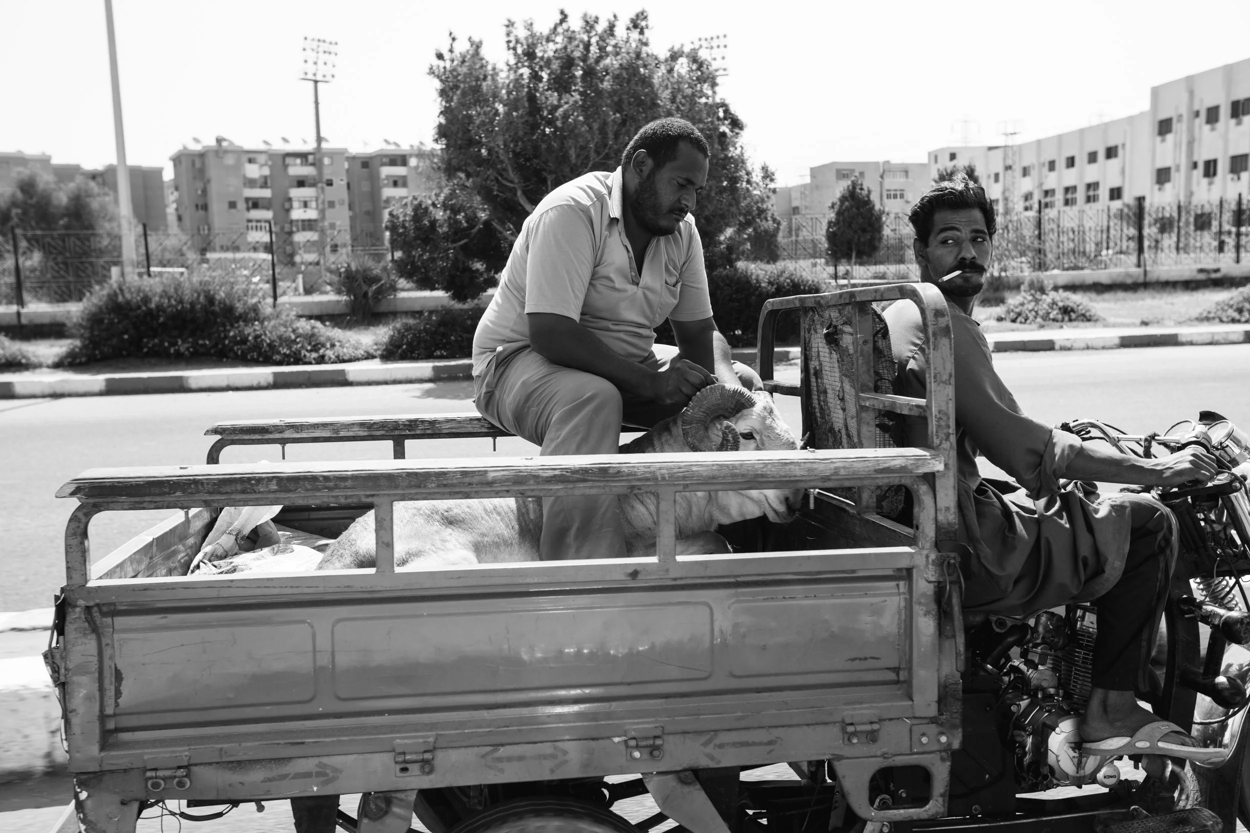 emilysladephotography-egypt3-11.jpg