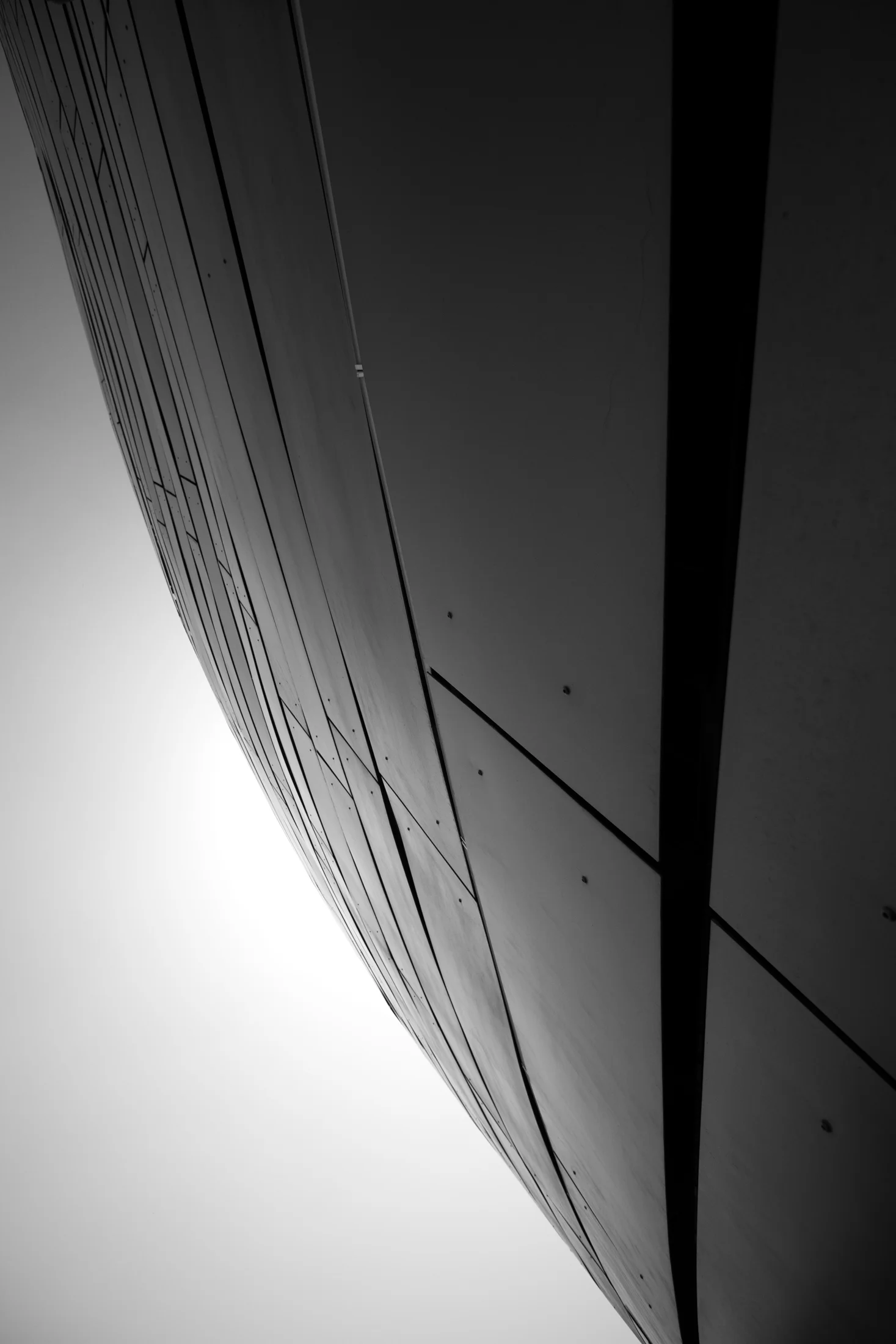 _MG_3324.jpg