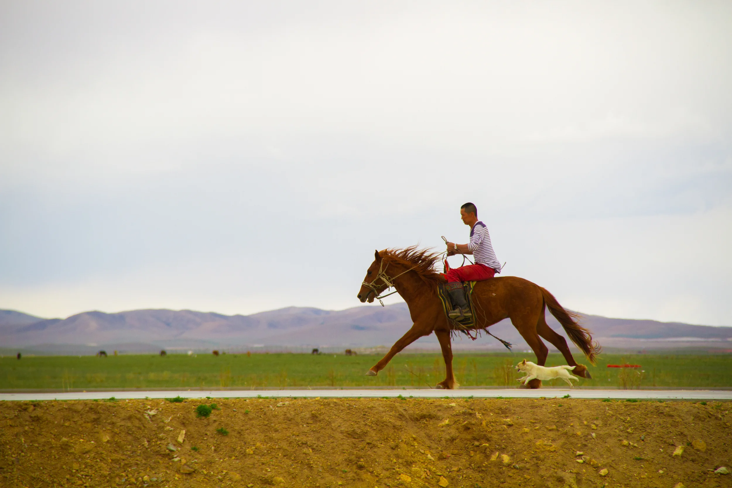 _MG_4328.jpg