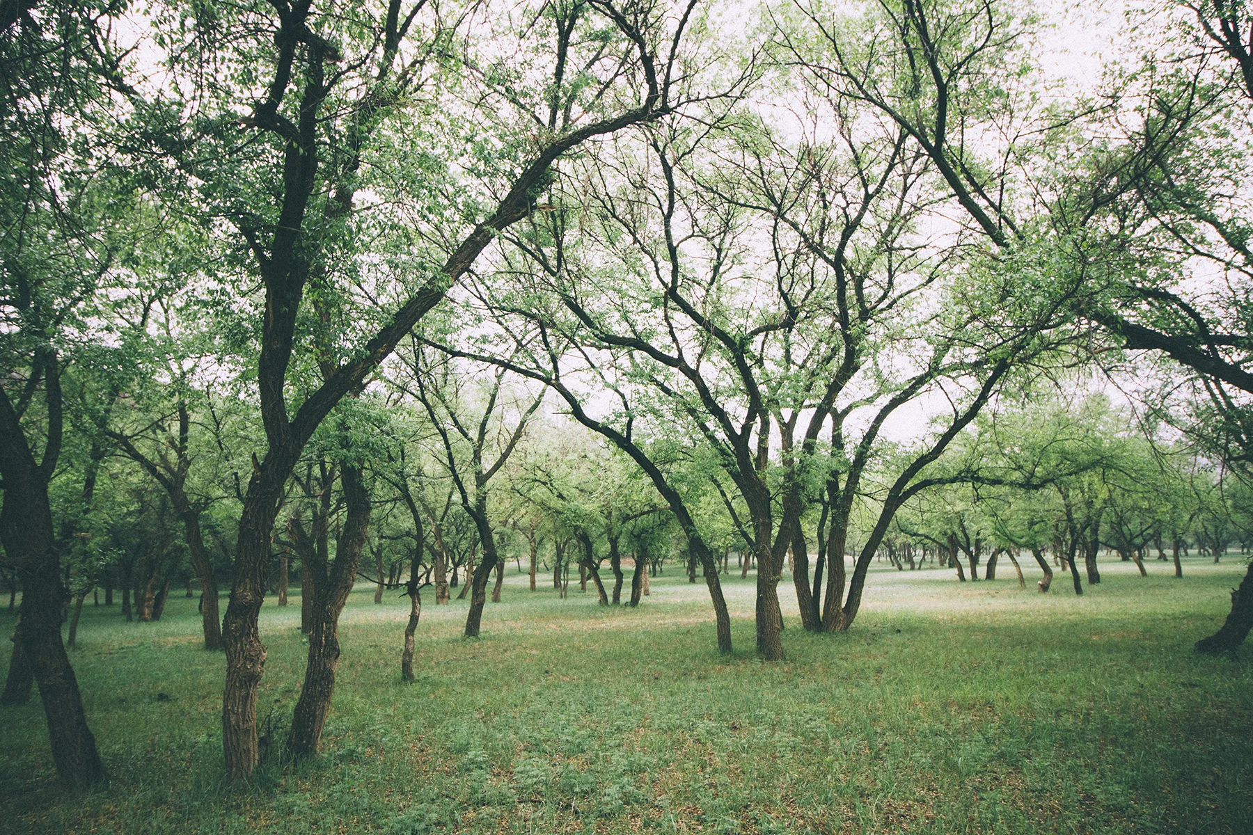 _MG_3674.jpg