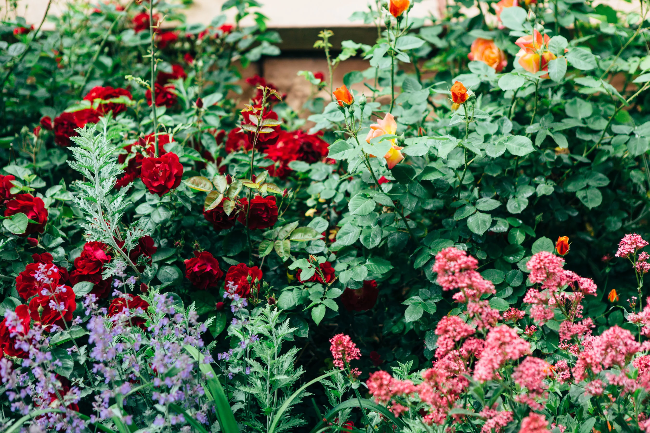 0P8A0717.jpg
