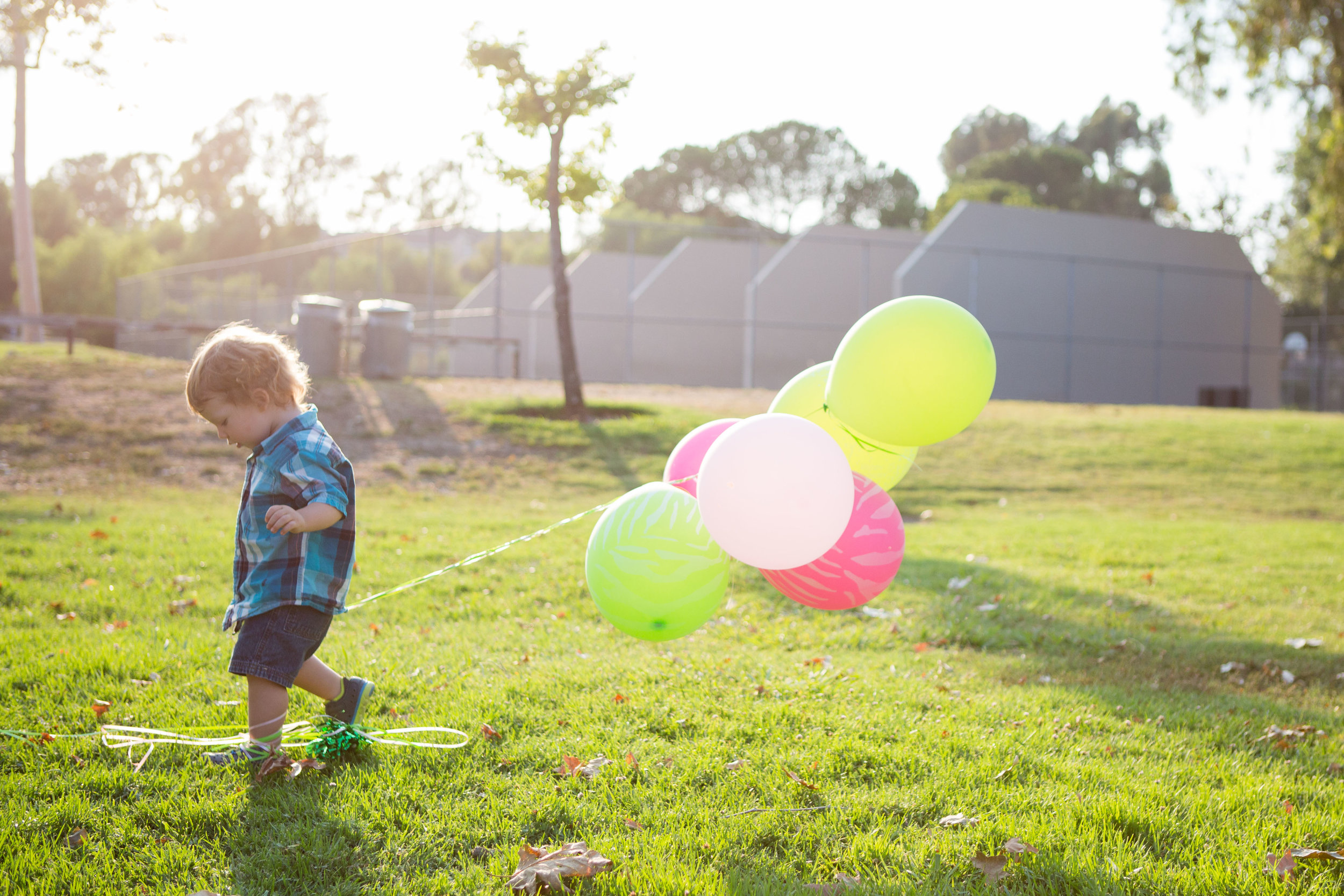 New Camera, New Shots
