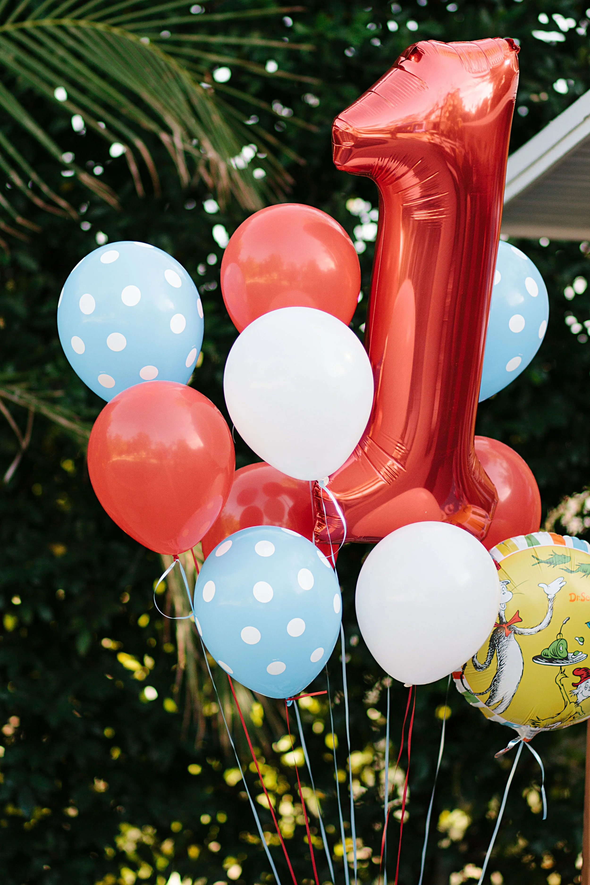 Dylan's b'dayDecorations013.jpg