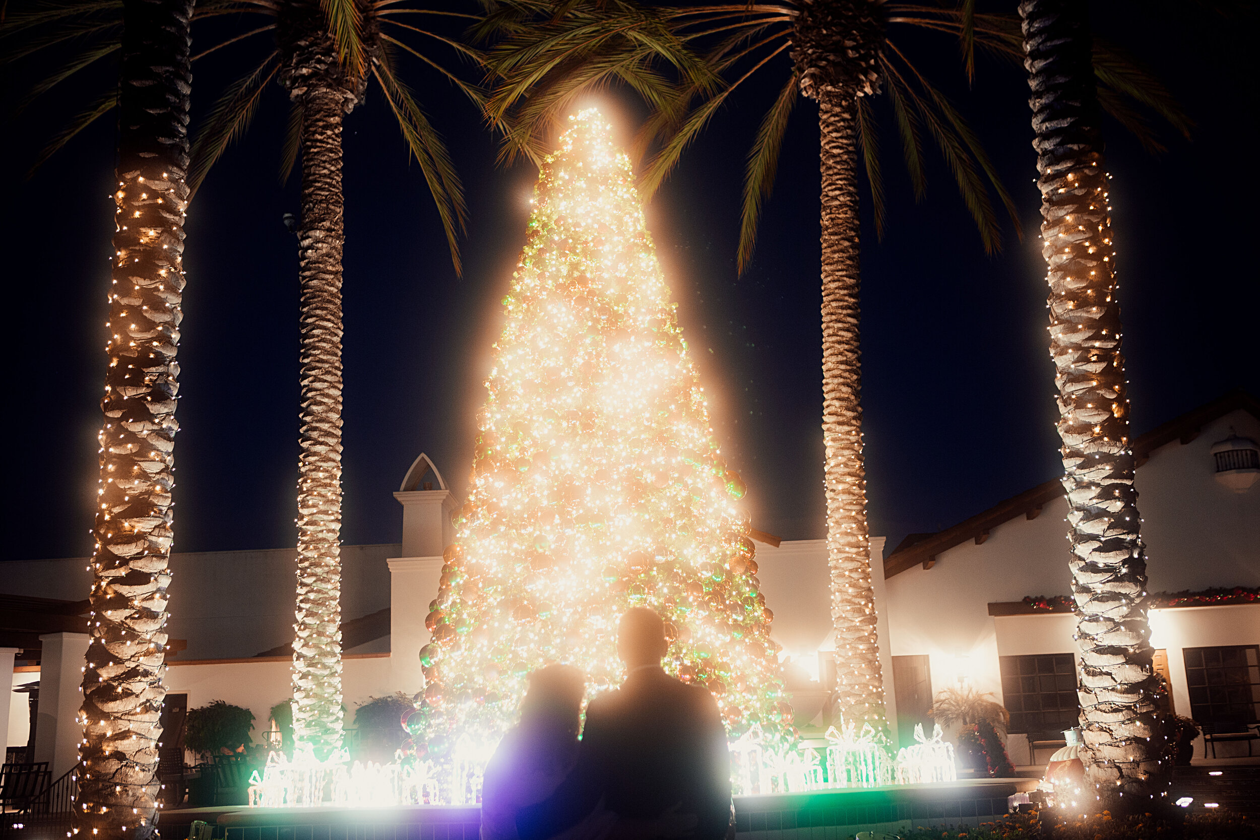 Molly and Dominik_12262018_543.jpg