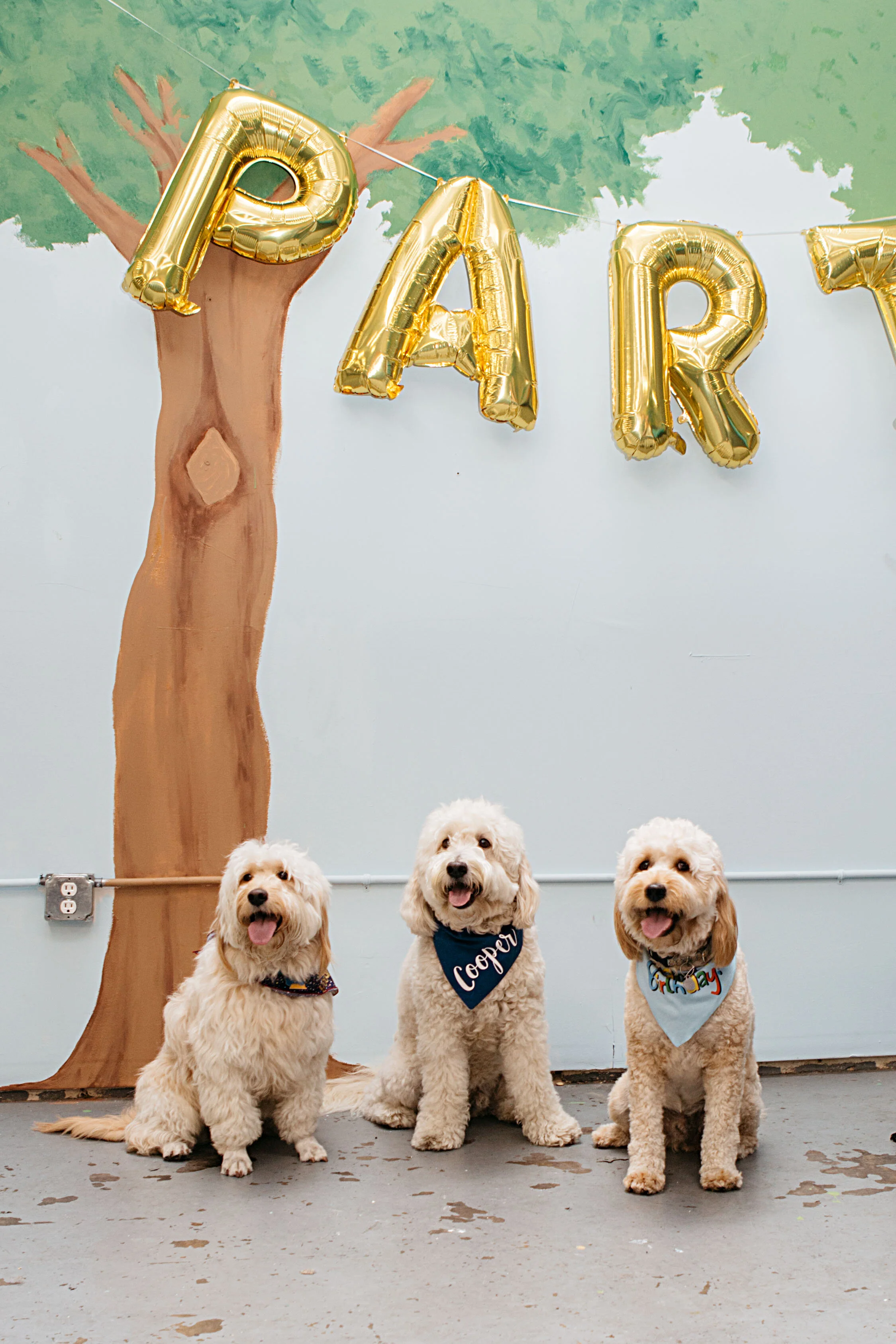 BENNY B'DAY 2019_077.jpg