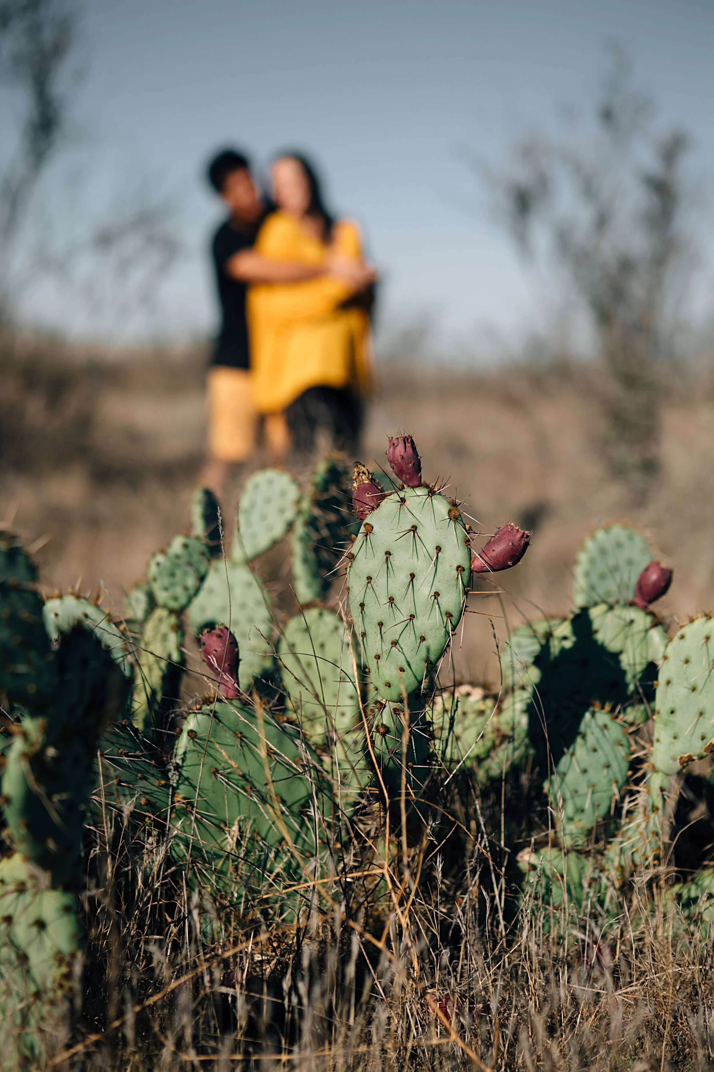 Nancy and Troy_328.jpg
