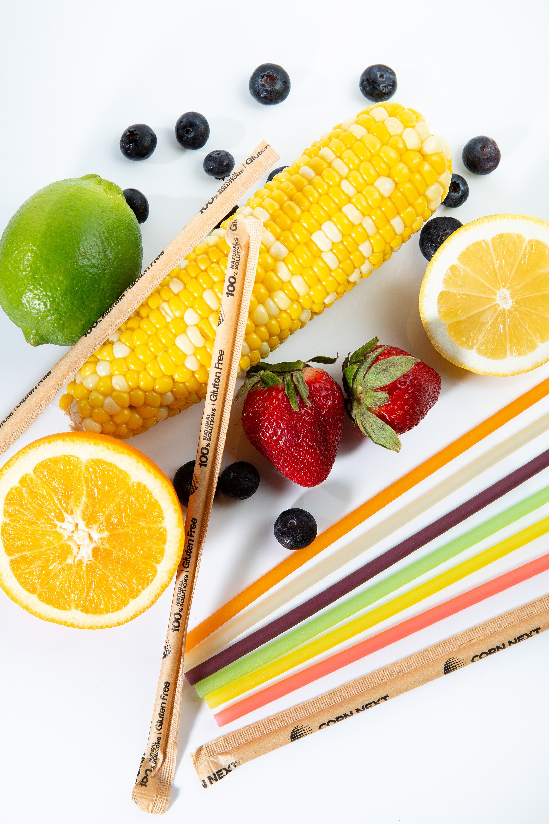 web CORNNEXT-321.jpg