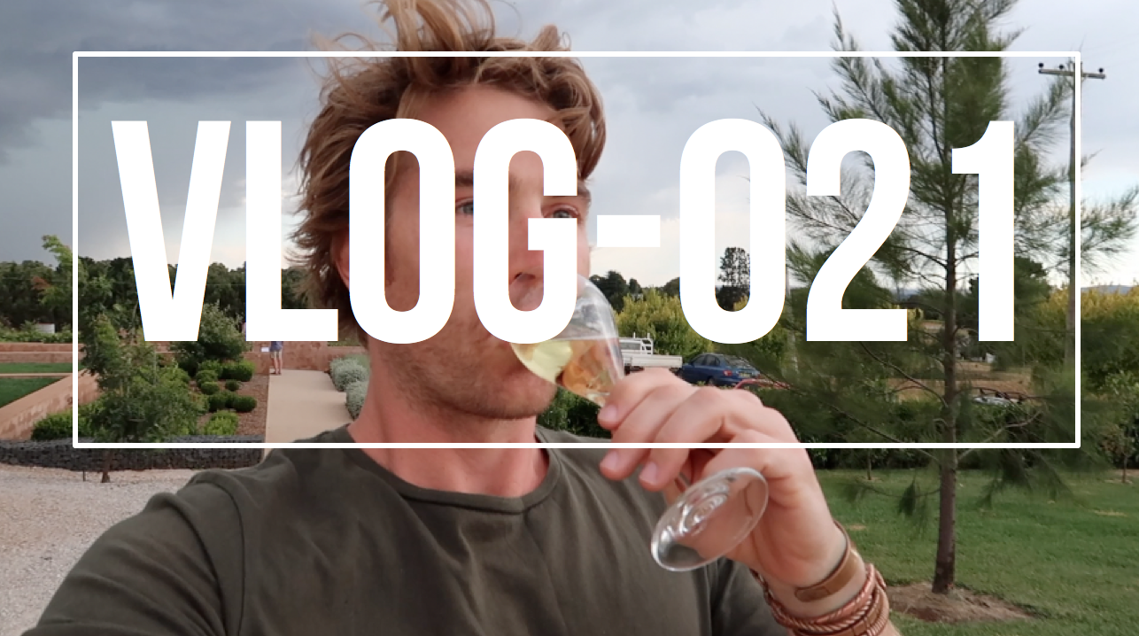 VLOG021 - ORANGE (& WINE DOGS)