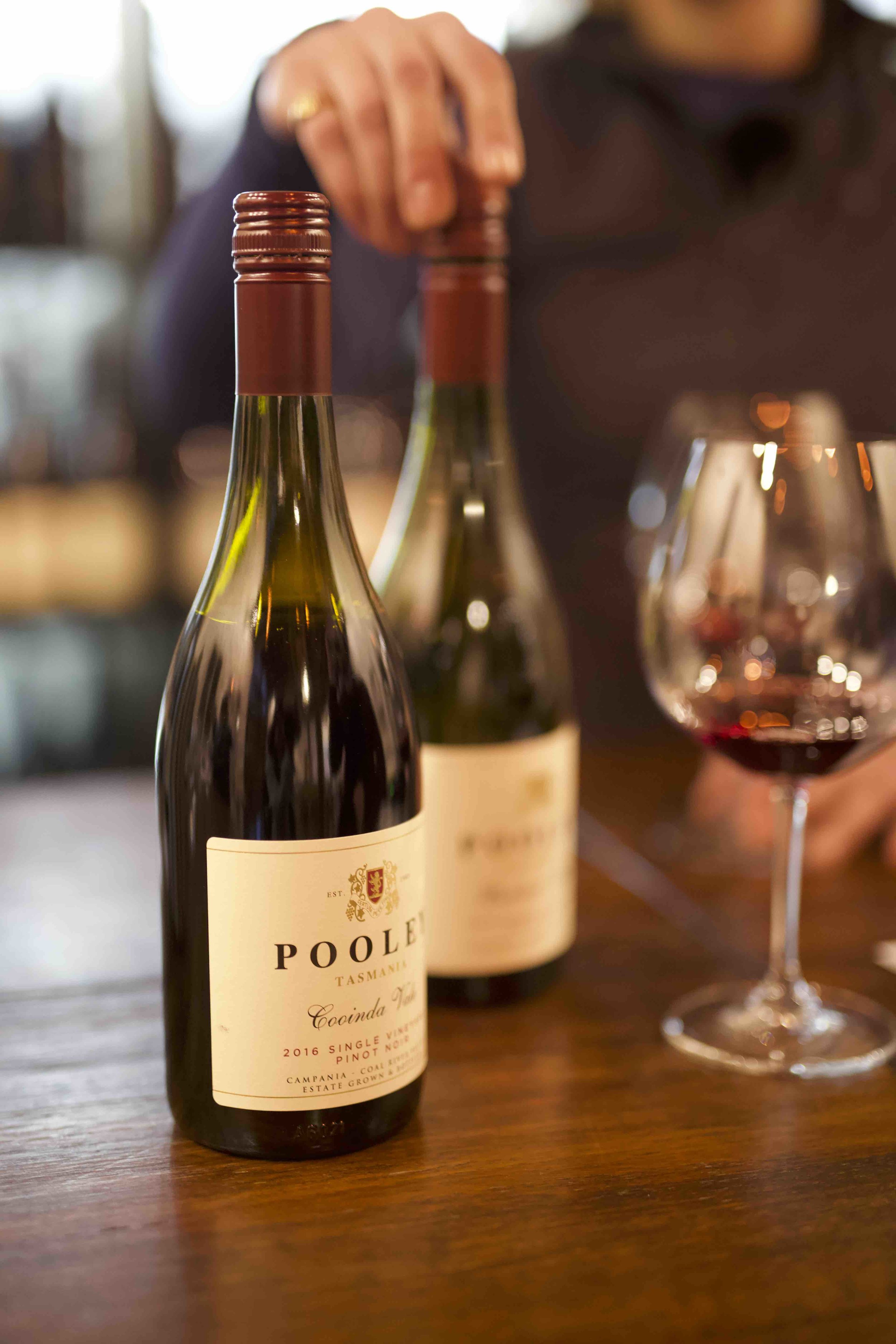Anna Pooley on The Roving Mic Podcast by Hayden Quinn