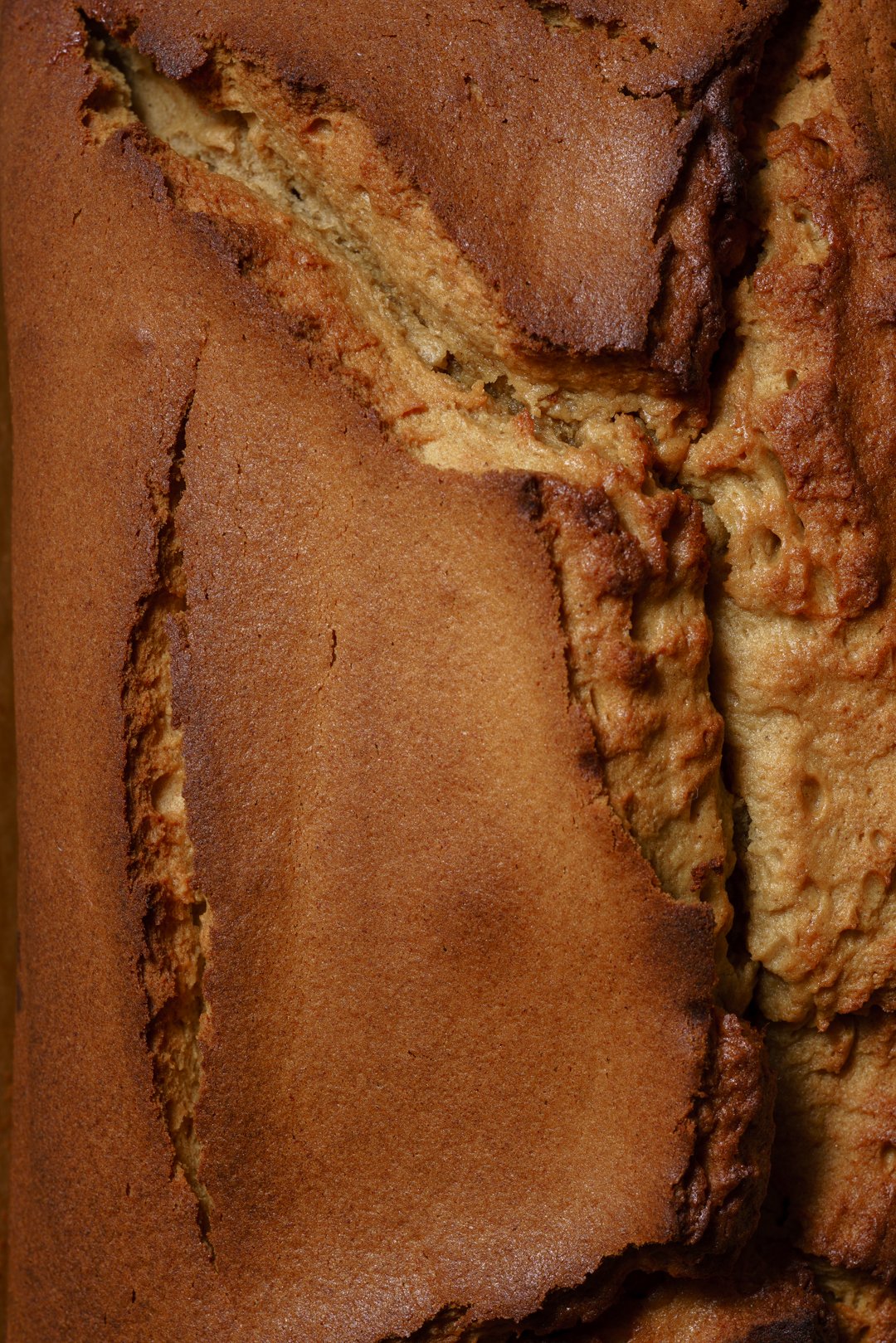 Hayden Quinn Blender Banana Bread