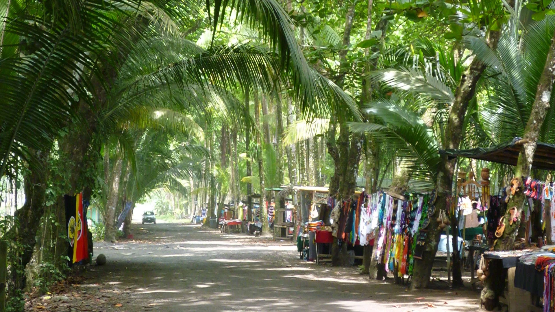 Copy of P1000038.JPG