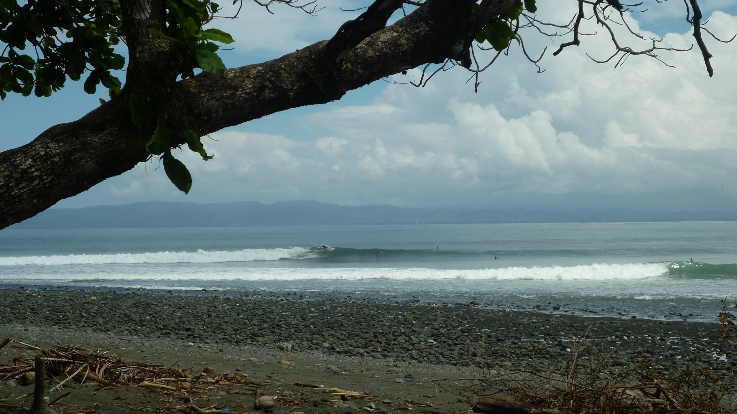 Copy of P1000278.JPG