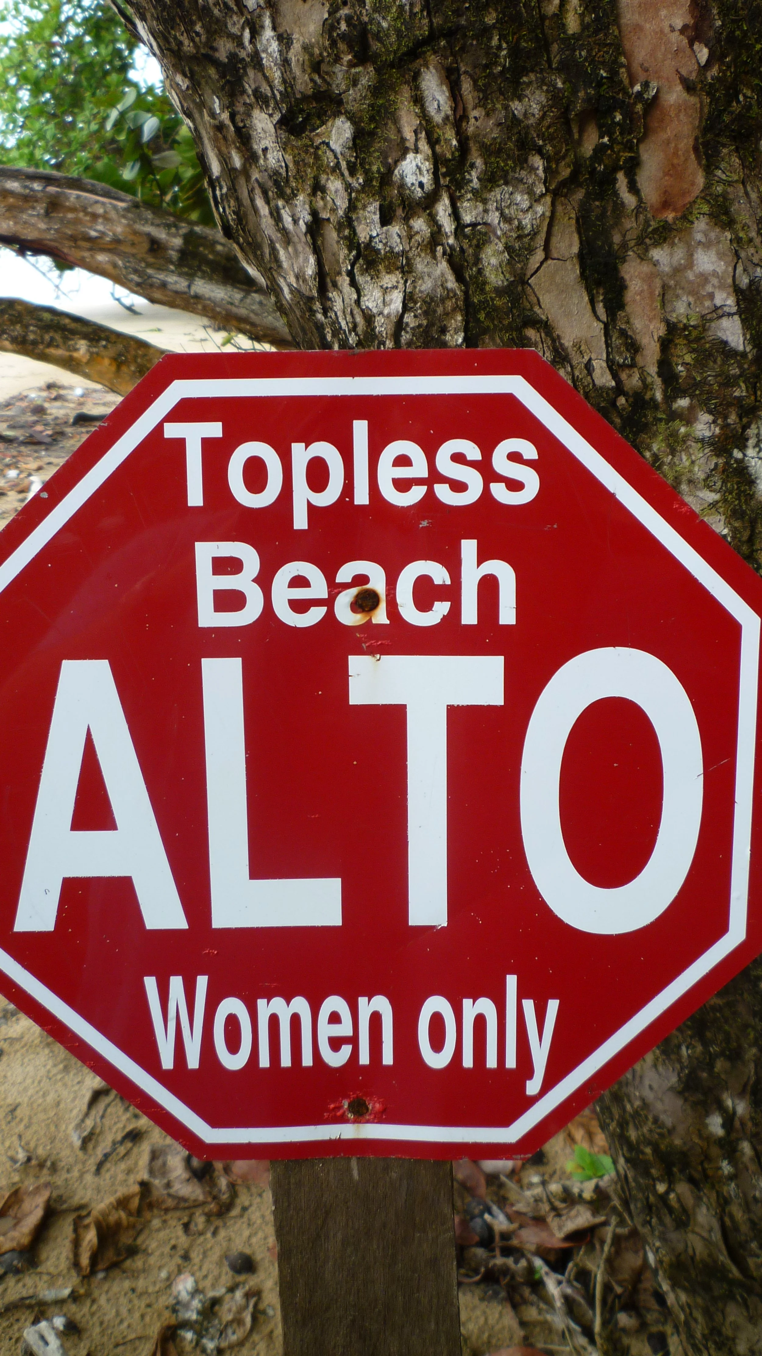 Copy of P1000324.JPG