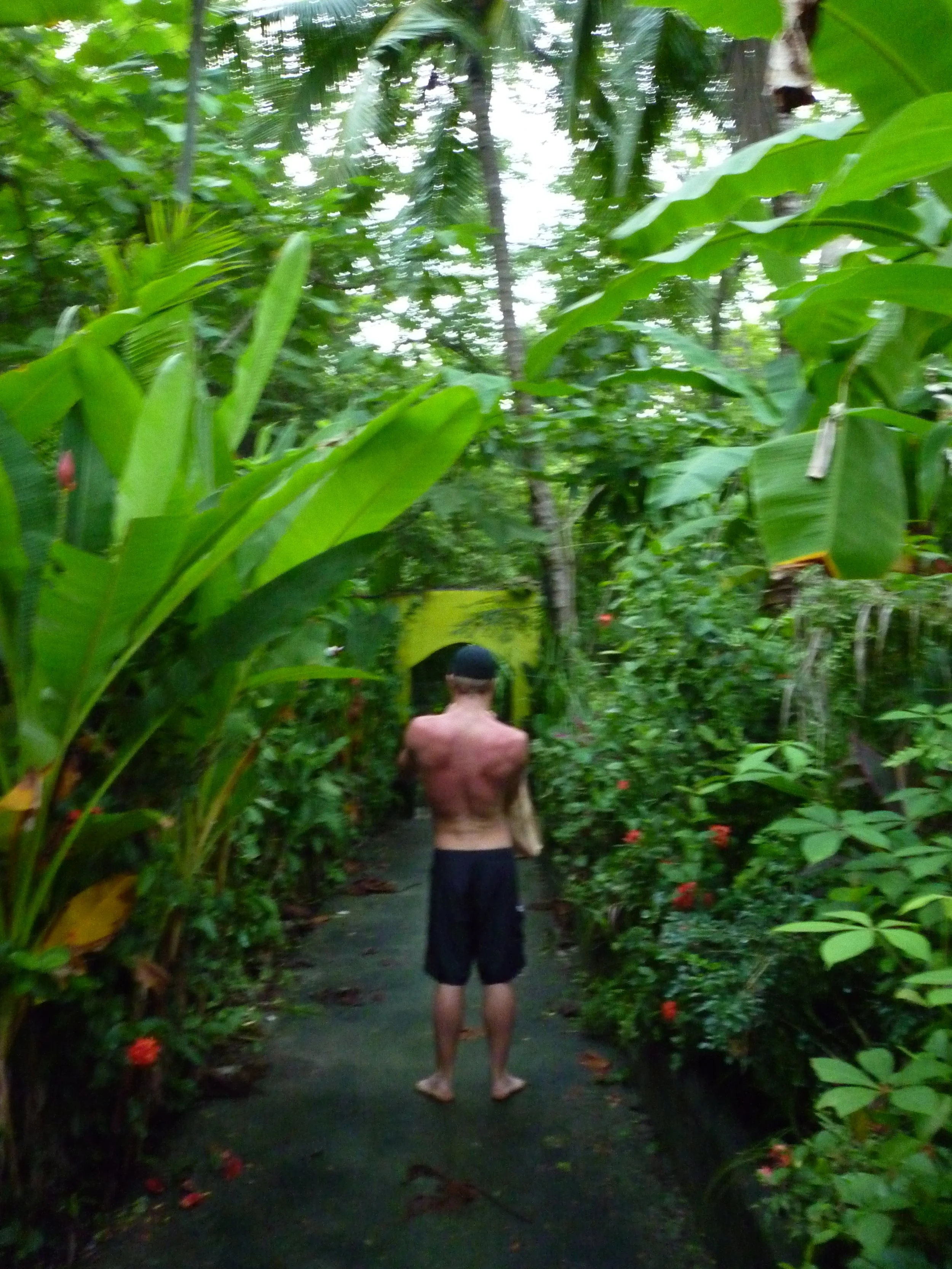 Copy of P1000377.JPG