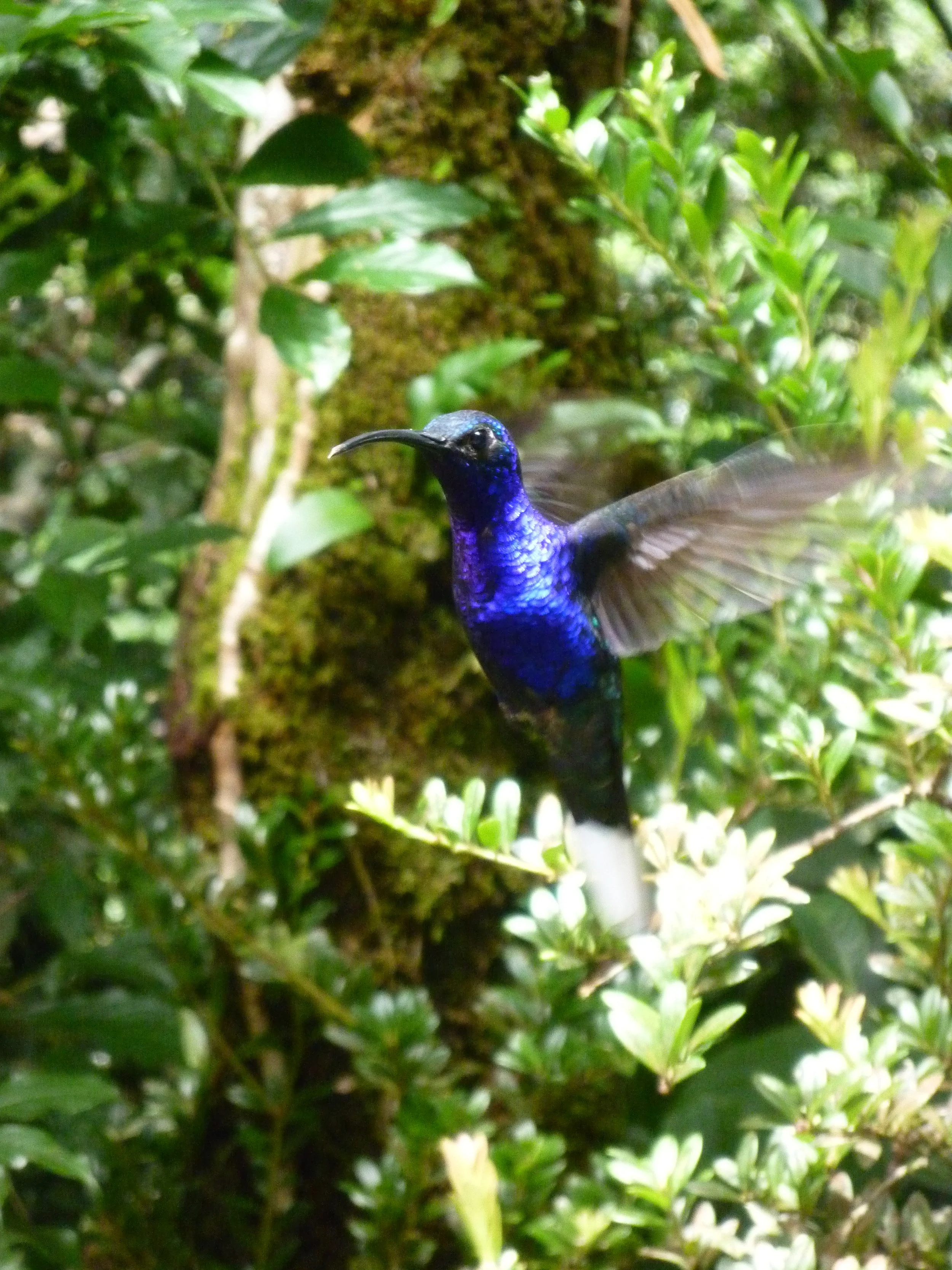 Copy of P1000492.JPG