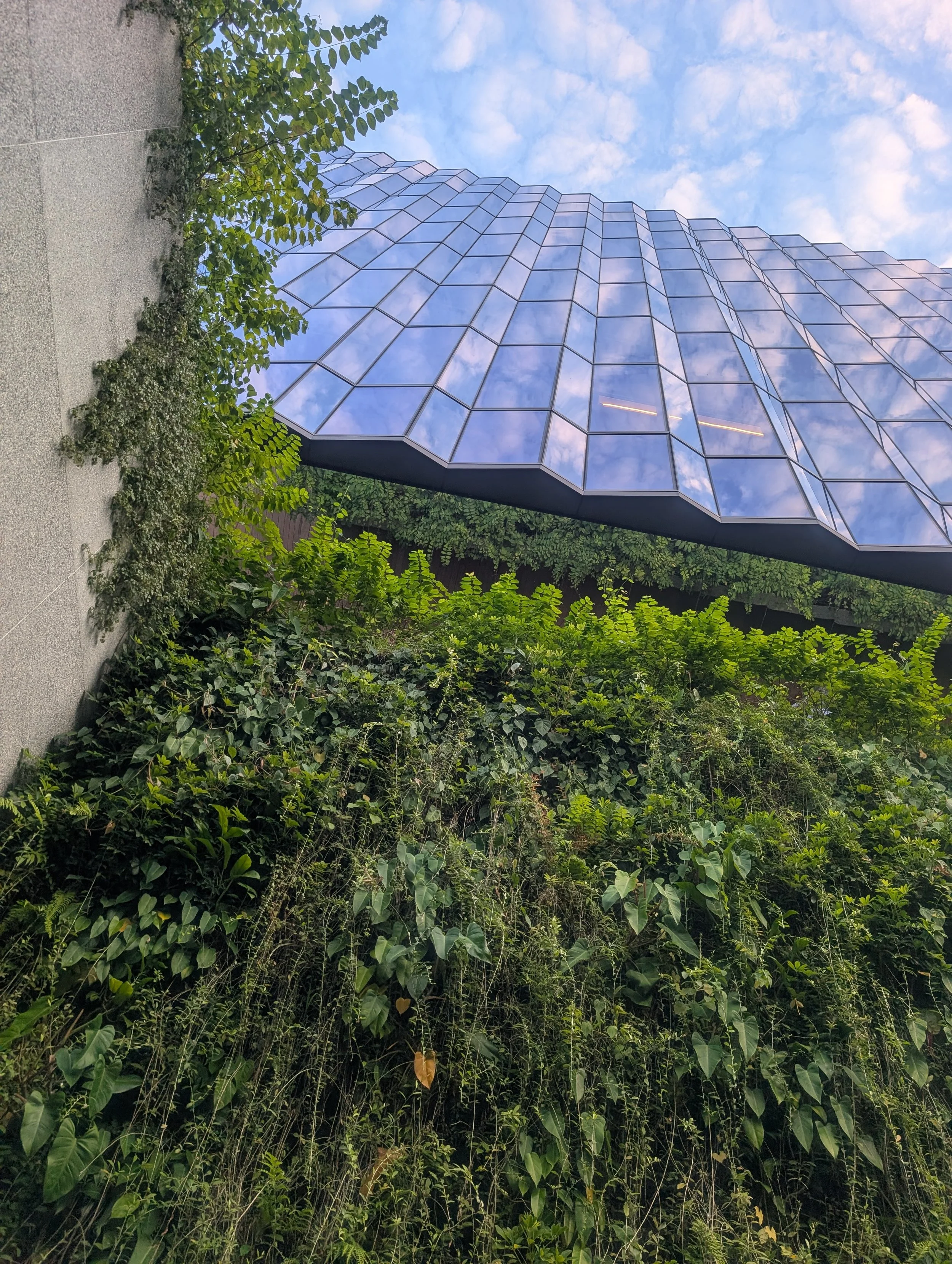 Hayden Quinn Singapore Travel Guide