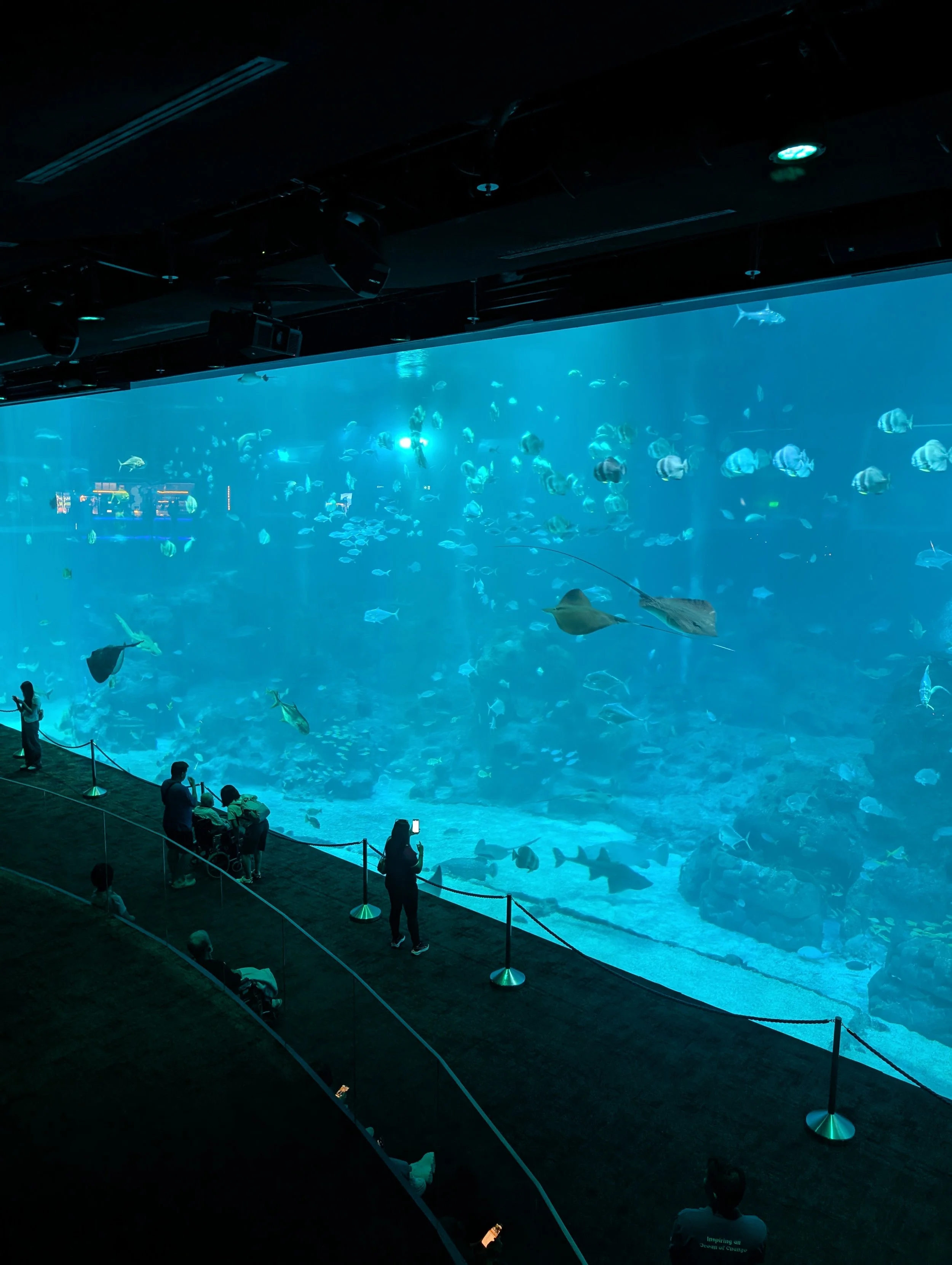 Hayden Quinn Singapore Travel Guide