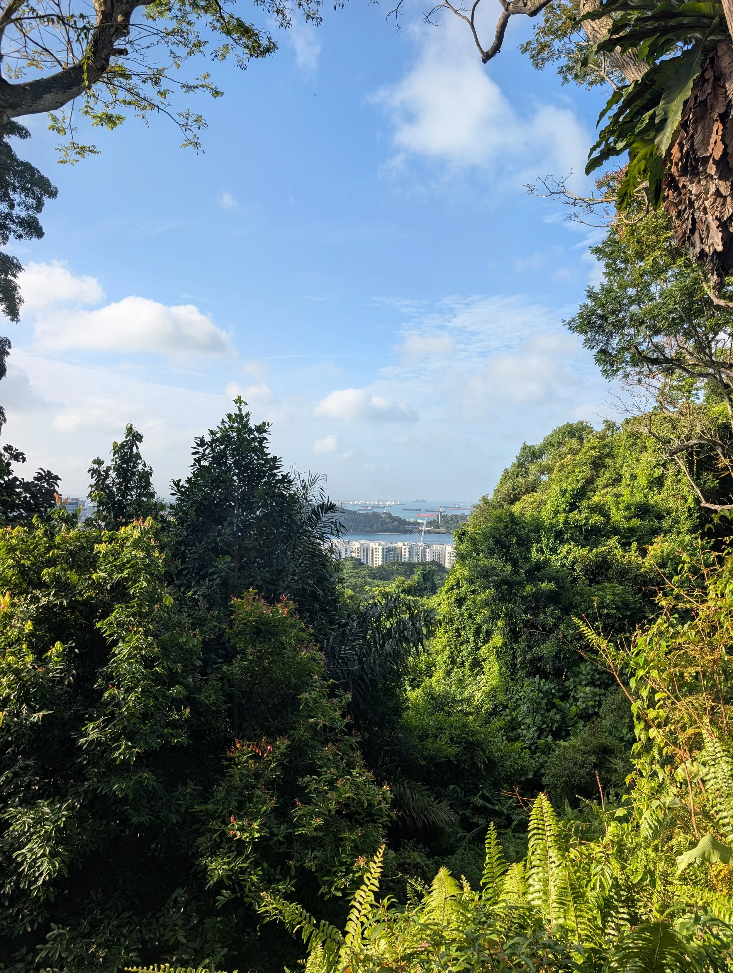 Hayden Quinn Singapore Travel Guide